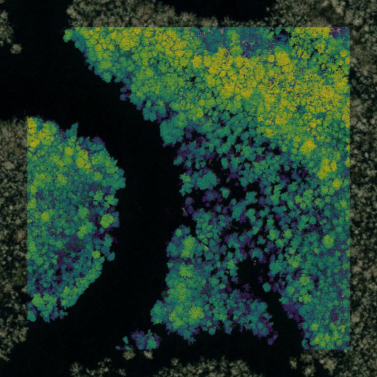 This image shows a LiDAR point cloud in Pender County created using GIS data in Equator.