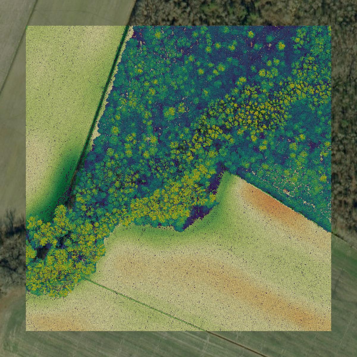 This image shows a LiDAR point cloud in Perquimans County created using GIS data in Equator.