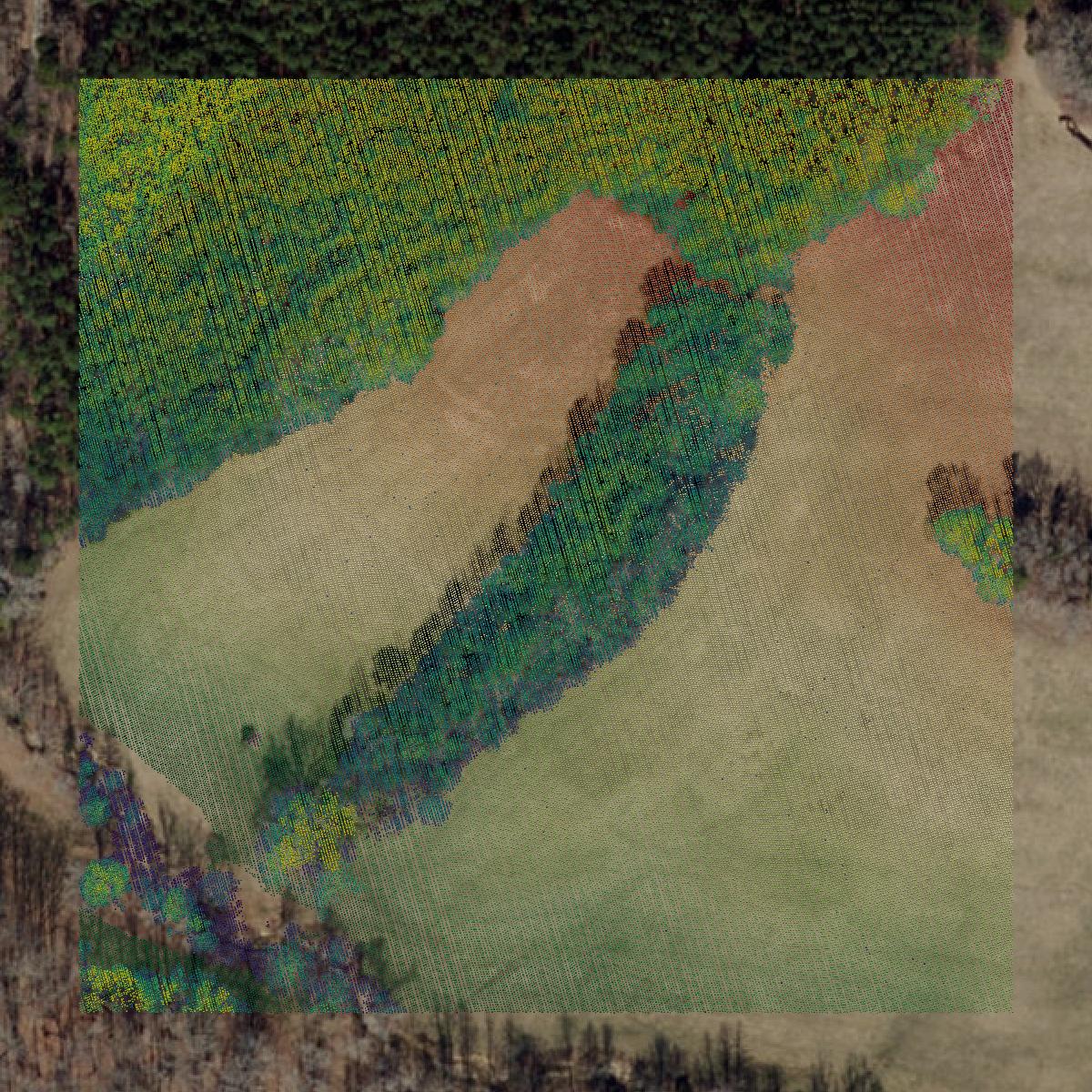 This image shows a LiDAR point cloud in Person County created using GIS data in Equator.