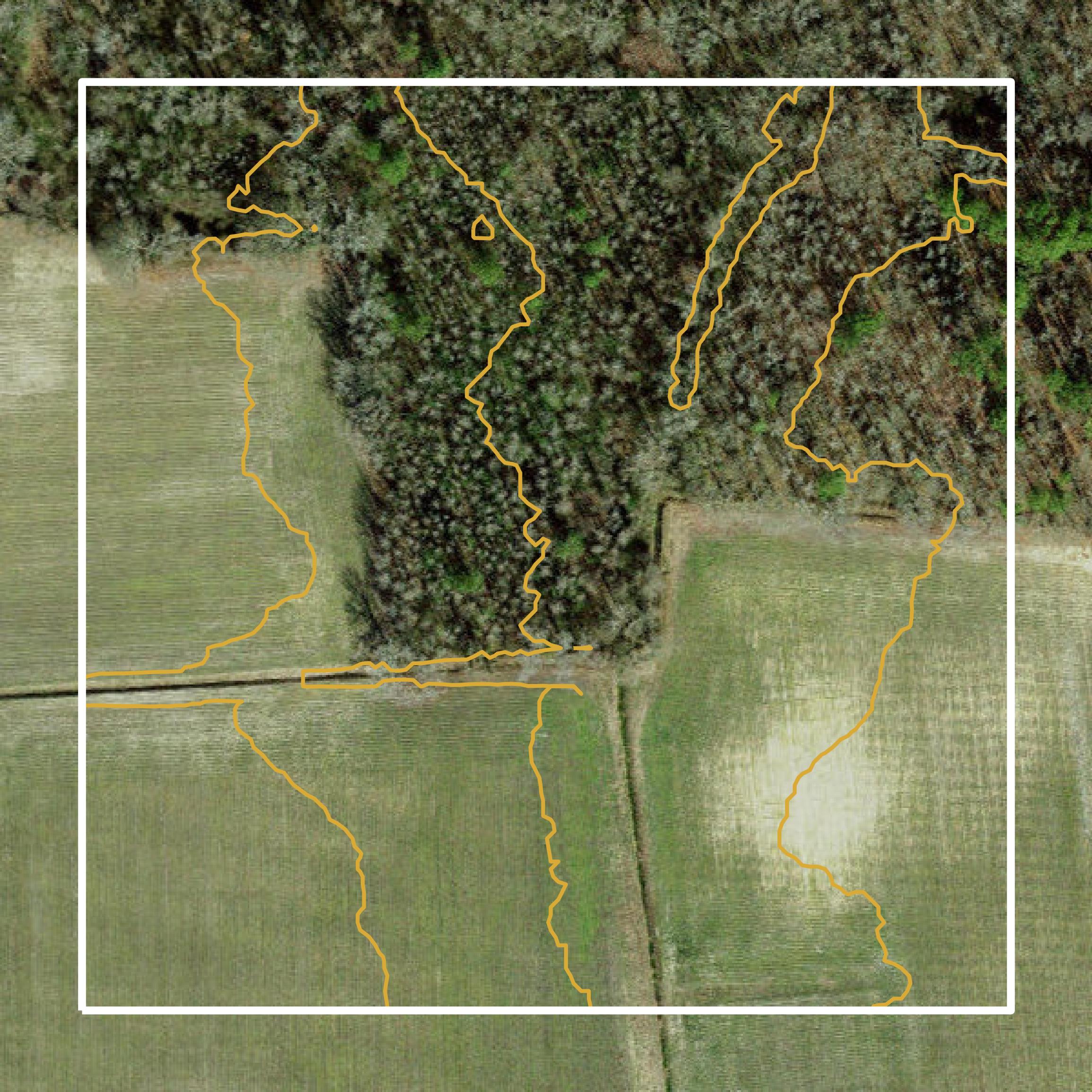 This image shows a contour map in Pitt County created using GIS data in Equator.