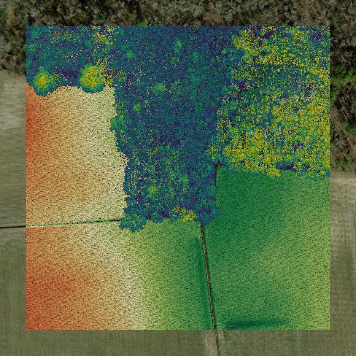 This image shows a LiDAR point cloud in Pitt County created using GIS data in Equator.