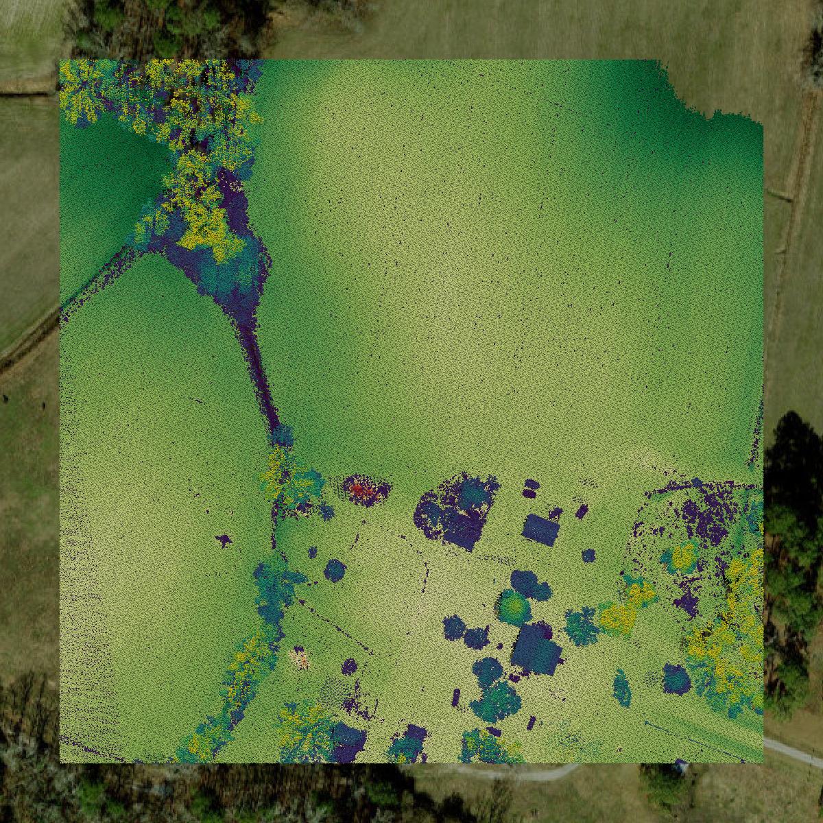 This image shows a LiDAR point cloud in Pitt County created using GIS data in Equator.