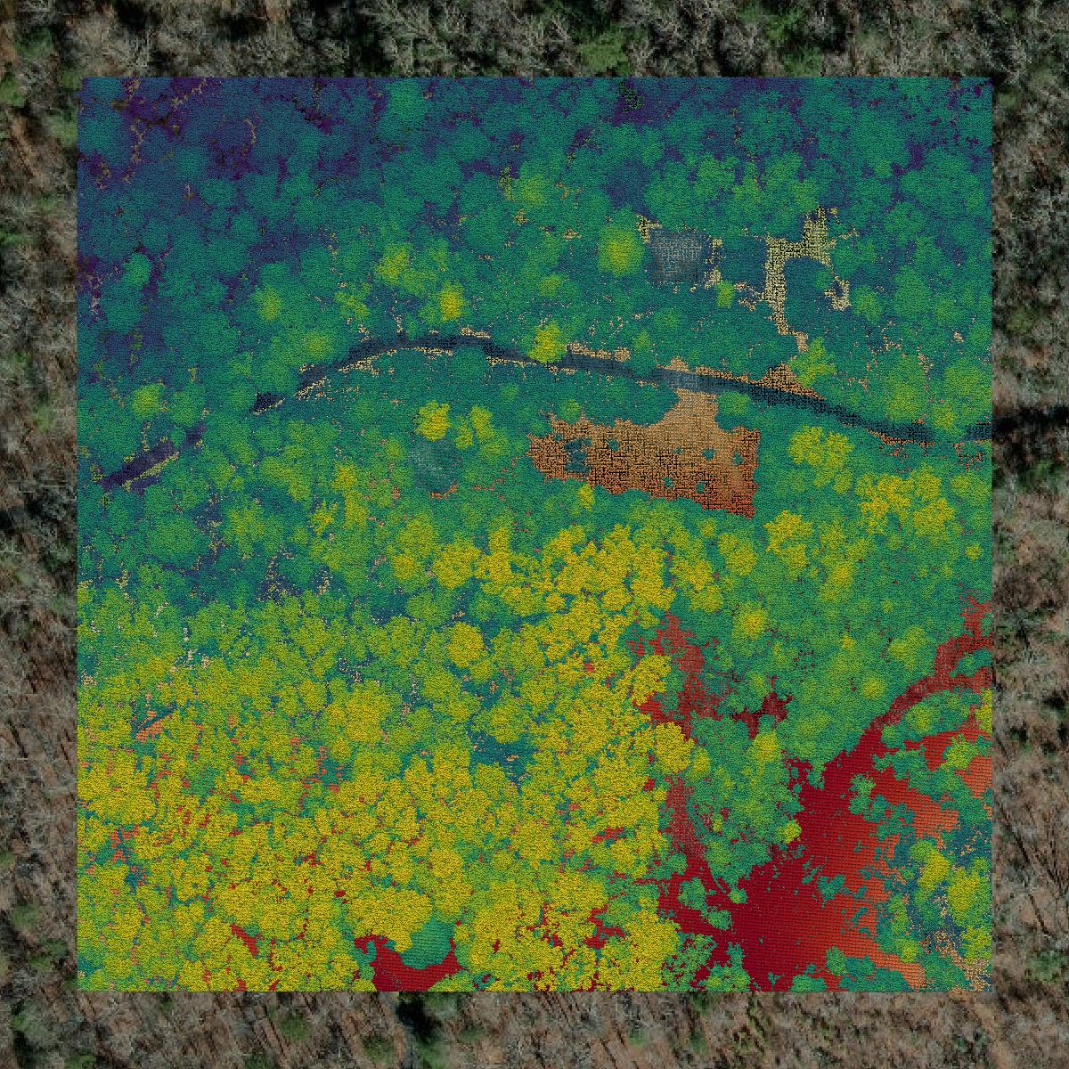 This image shows a LiDAR point cloud in Polk County created using GIS data in Equator.