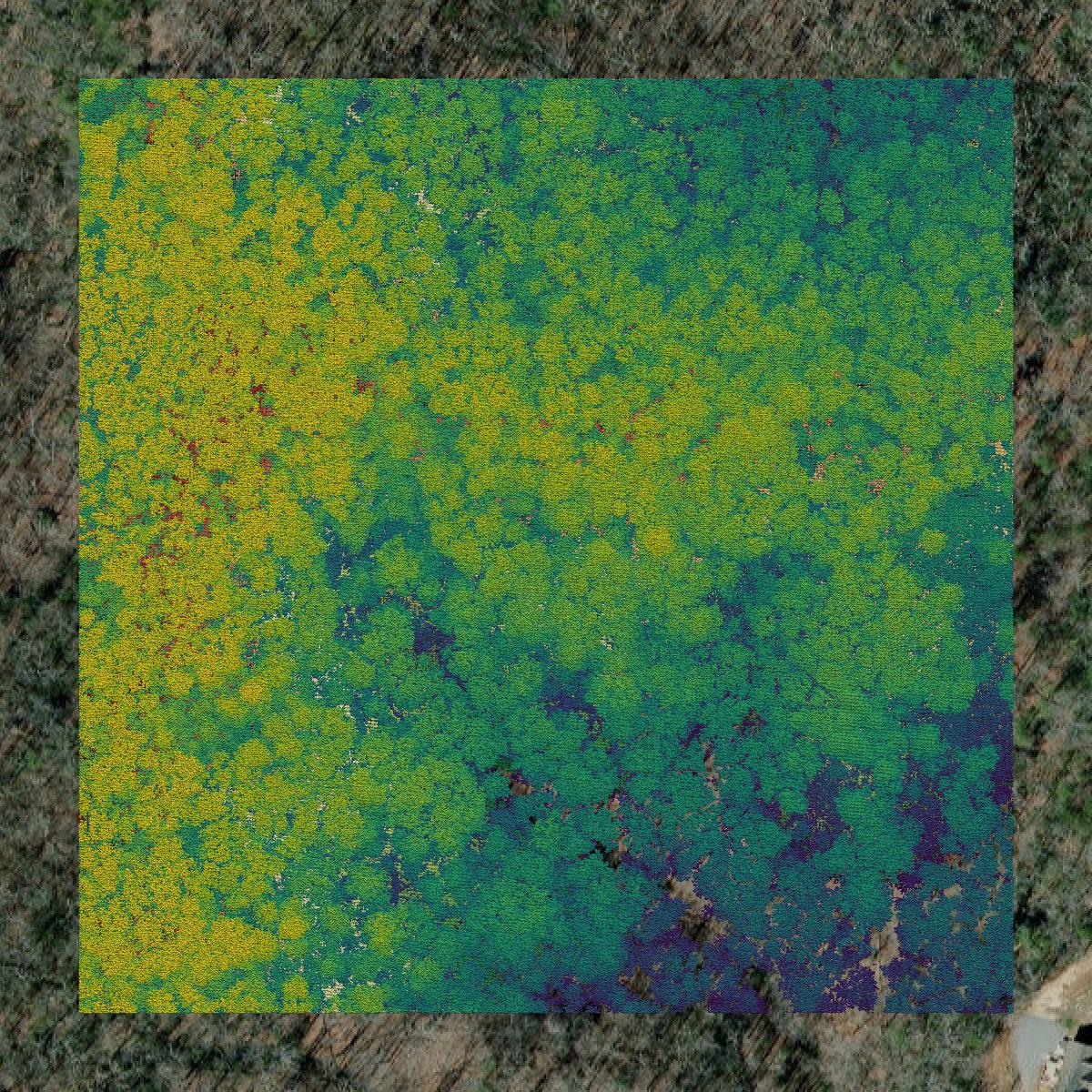 This image shows a LiDAR point cloud in Polk County created using GIS data in Equator.