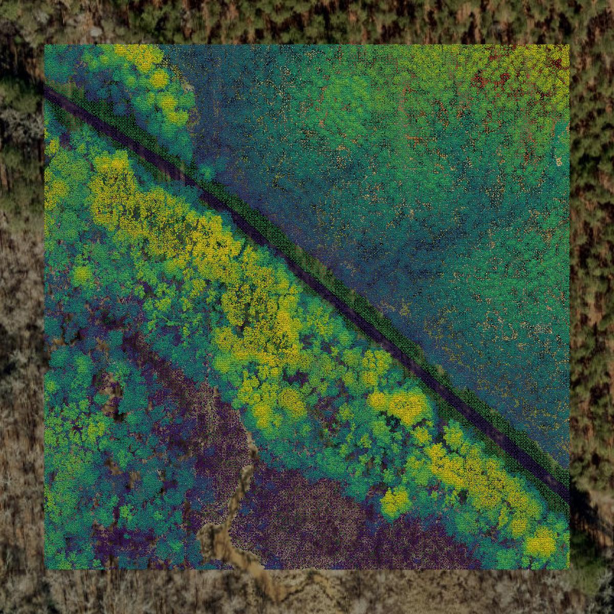 This image shows a LiDAR point cloud in Richmond County created using GIS data in Equator.