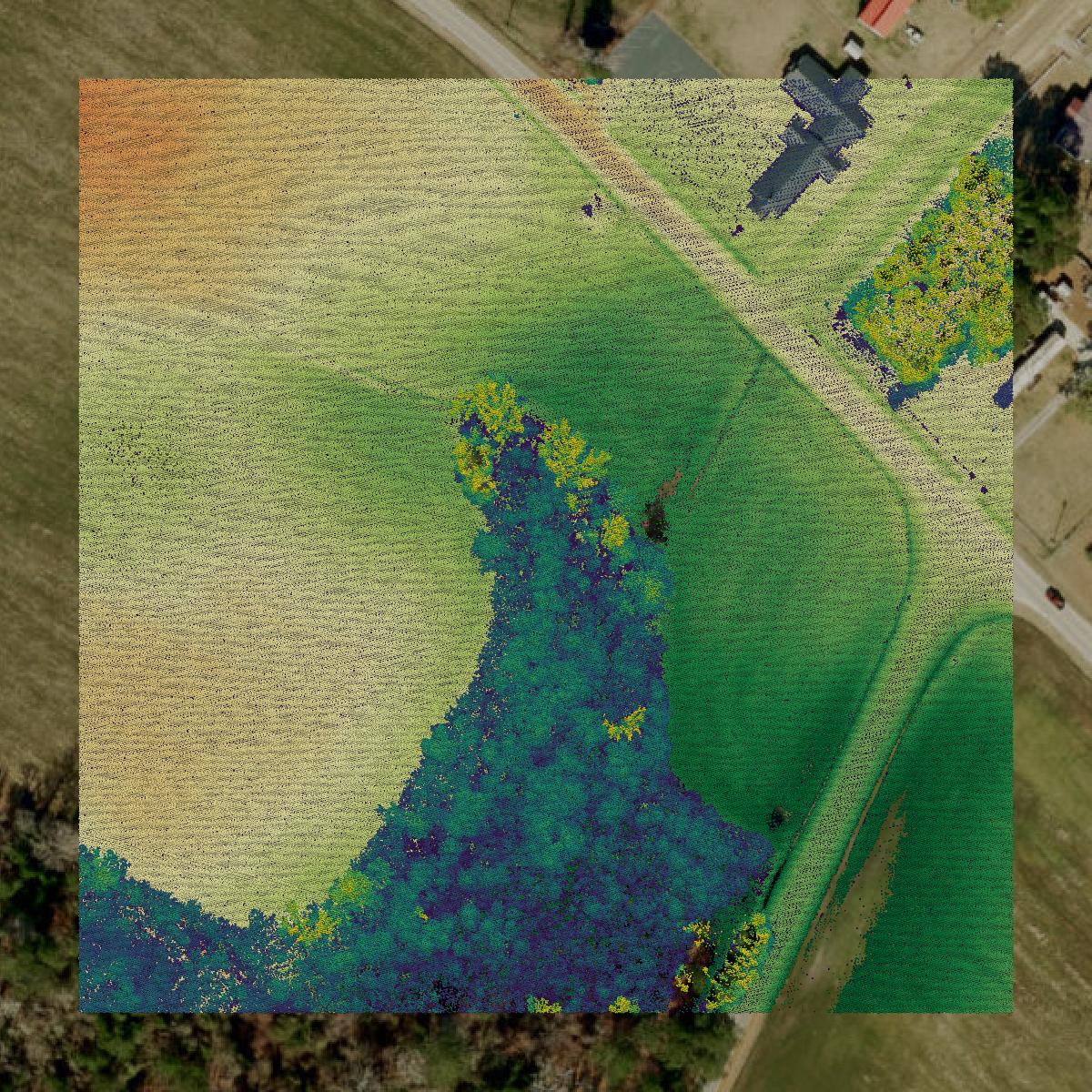 This image shows a LiDAR point cloud in Robeson County created using GIS data in Equator.