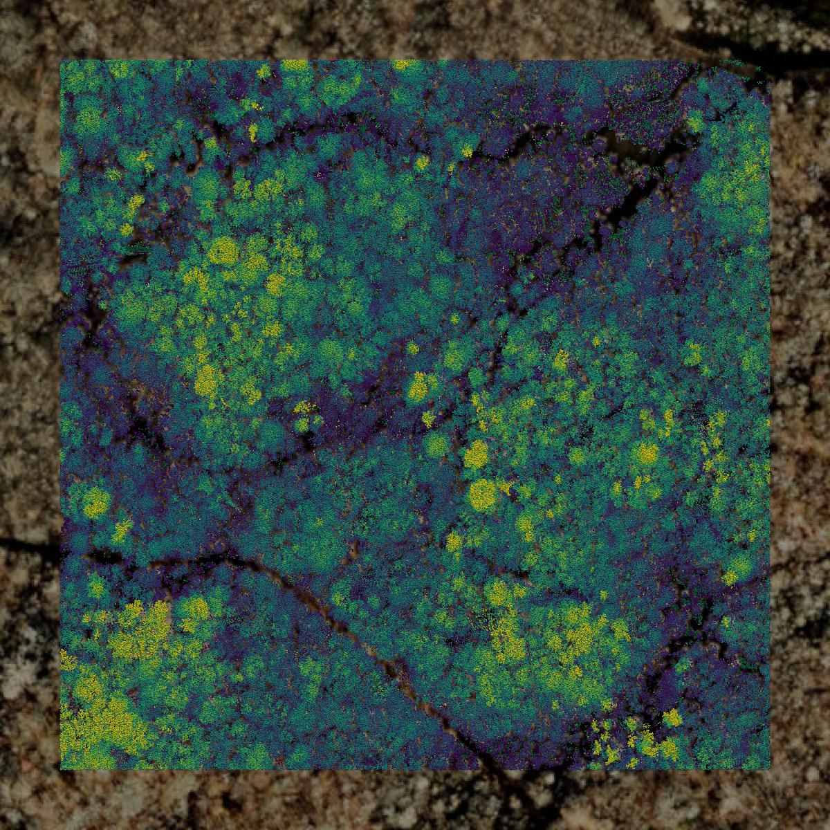 This image shows a LiDAR point cloud in Robeson County created using GIS data in Equator.