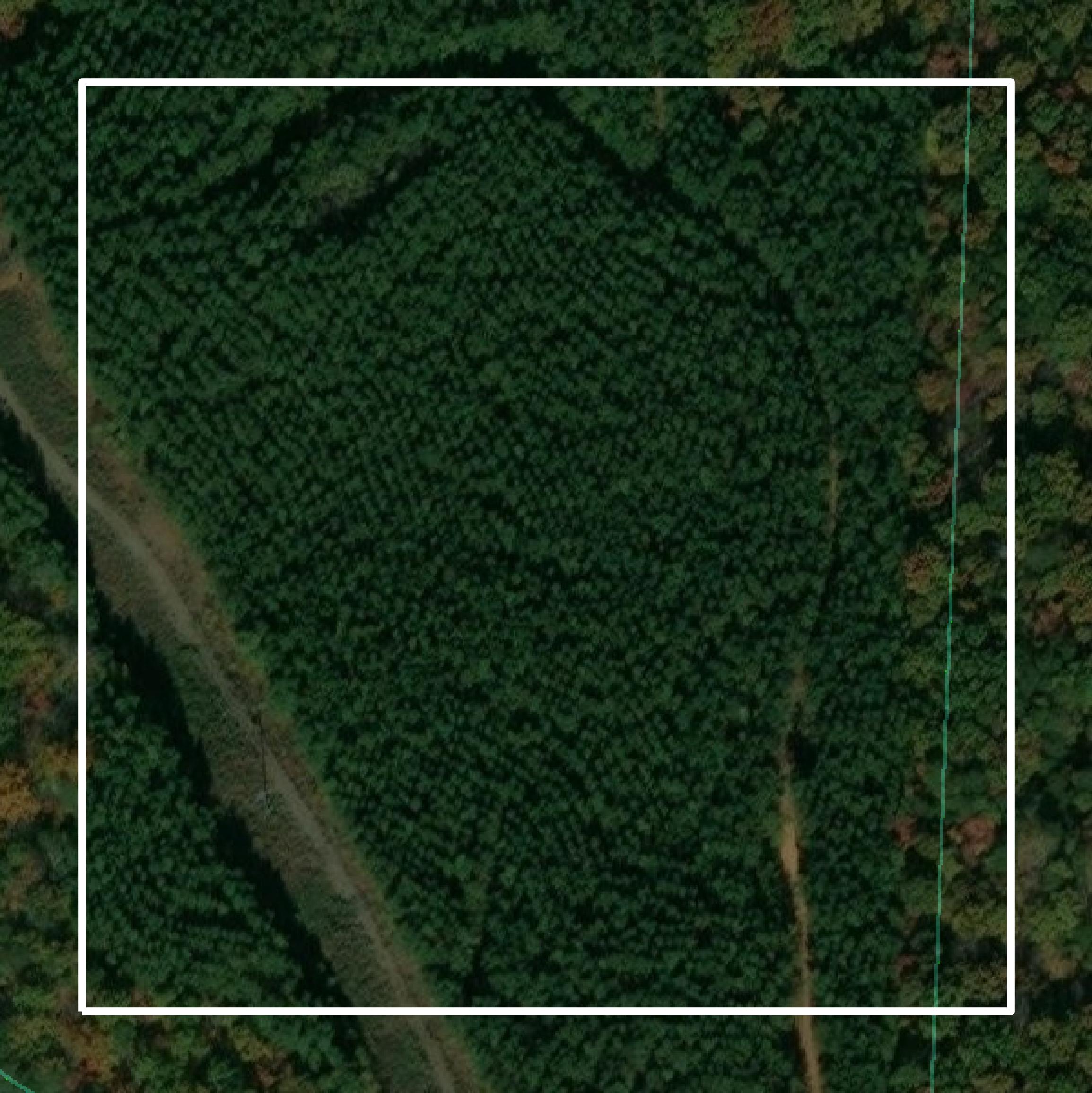 This image shows parcel and building data in Rockingham County created using GIS data in Equator.