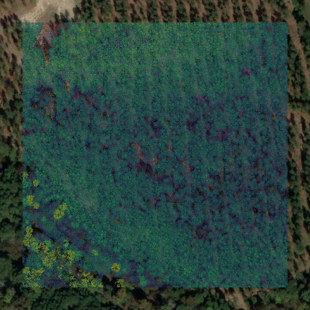 This image shows a LiDAR point cloud in Rowan County created using GIS data in Equator.