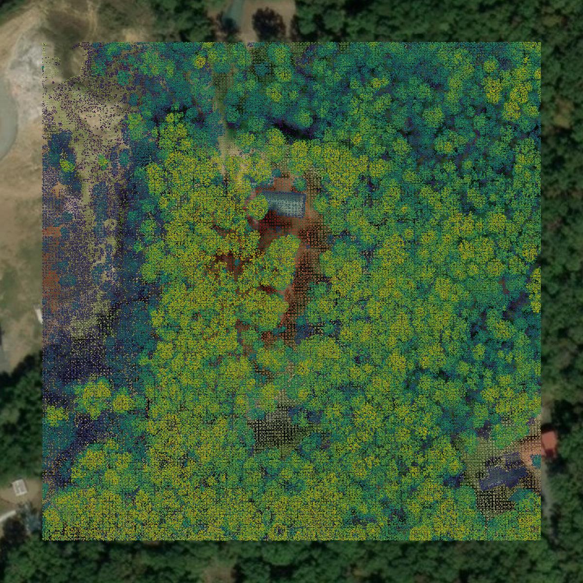 This image shows a LiDAR point cloud in Rowan County created using GIS data in Equator.