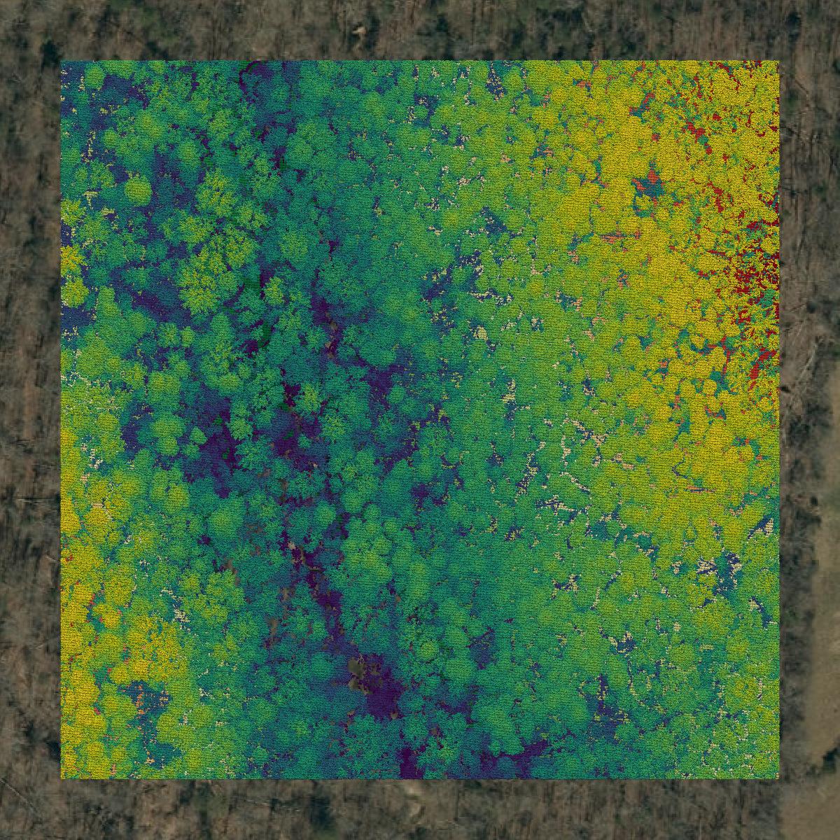 This image shows a LiDAR point cloud in Rutherford County created using GIS data in Equator.