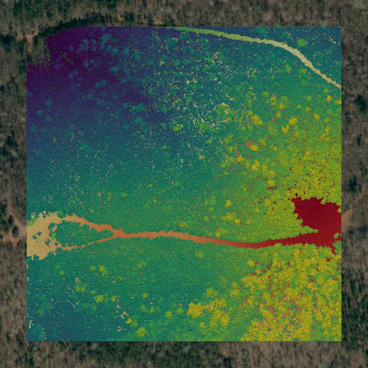 This image shows a LiDAR point cloud in Rutherford County created using GIS data in Equator.