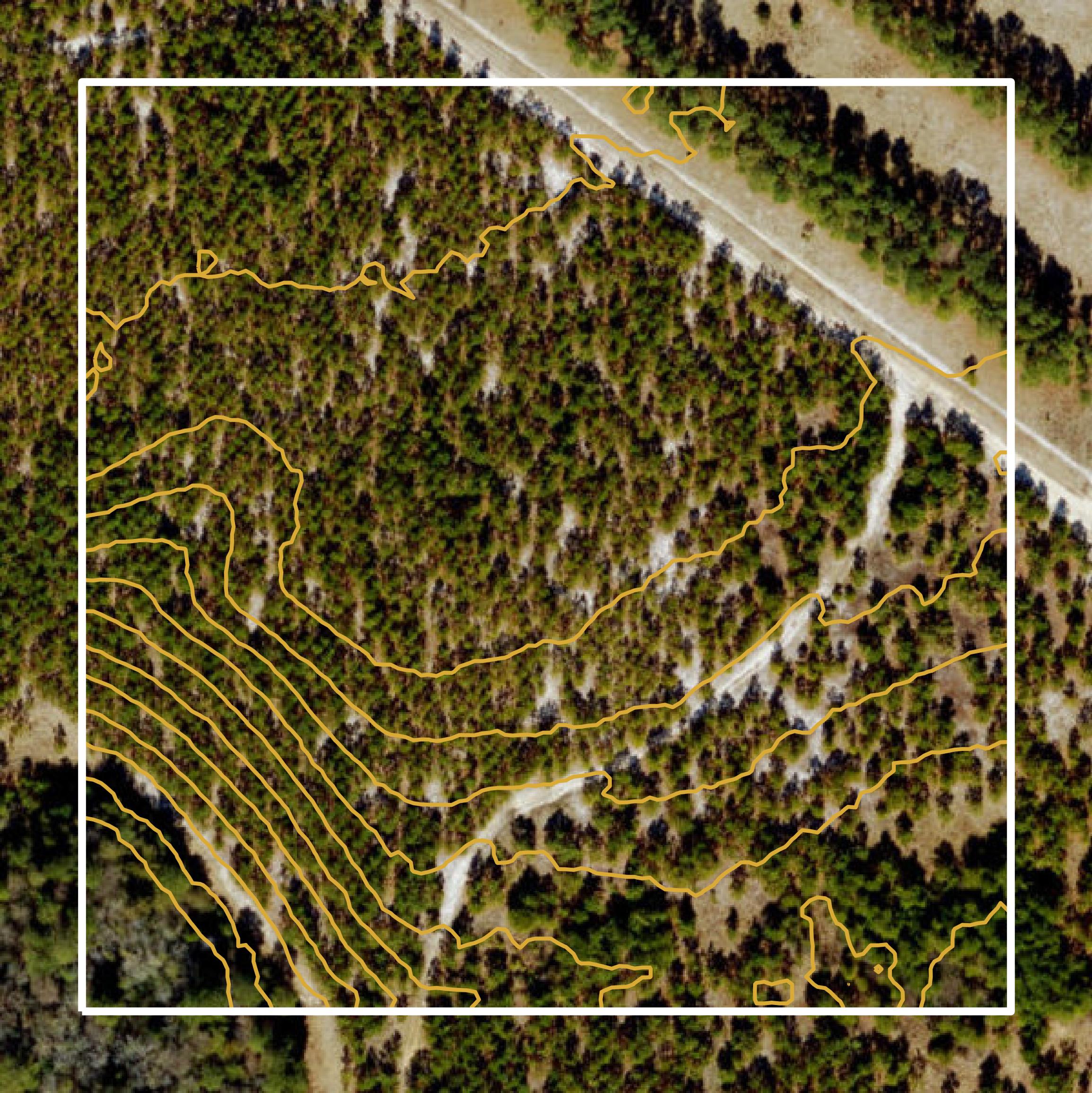 This image shows a contour map in Sampson County created using GIS data in Equator.