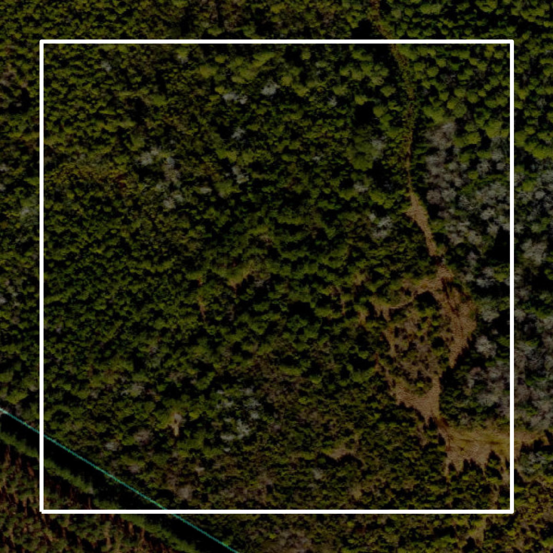 This image shows parcel and building data in Sampson County created using GIS data in Equator.