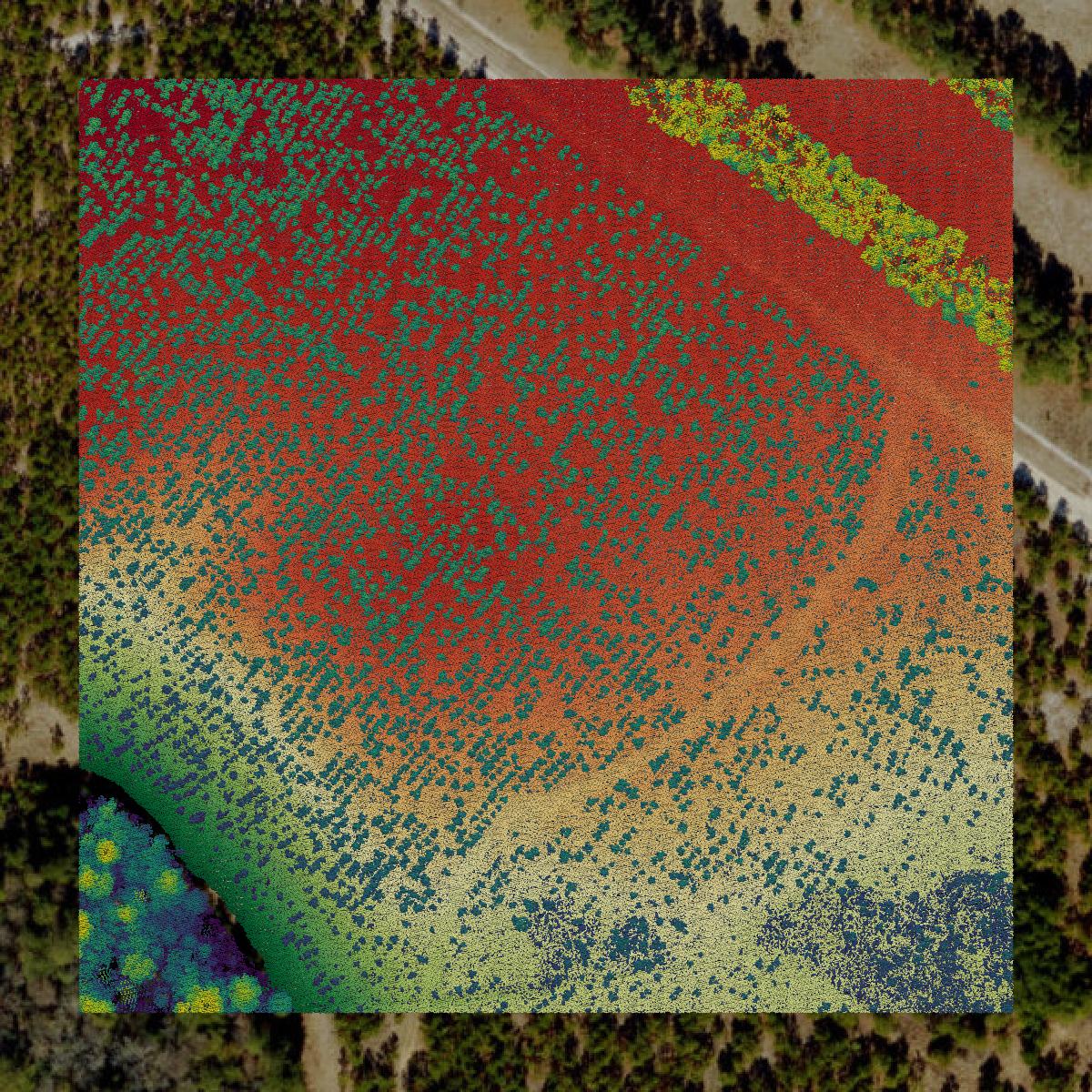 This image shows a LiDAR point cloud in Sampson County created using GIS data in Equator.