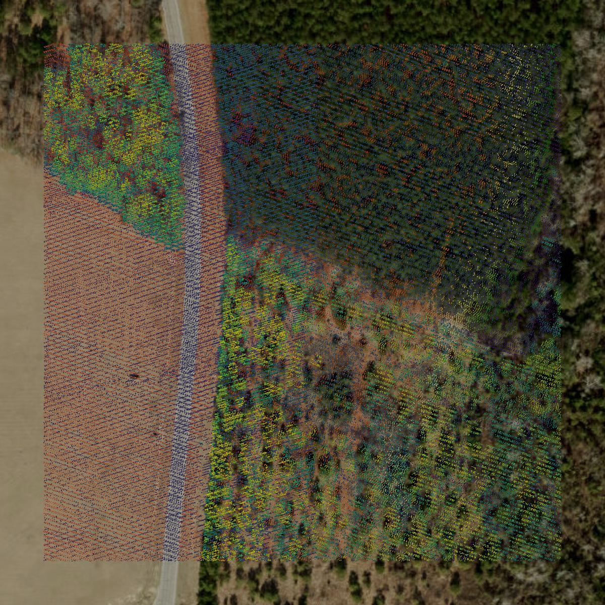 This image shows a LiDAR point cloud in Scotland County created using GIS data in Equator.