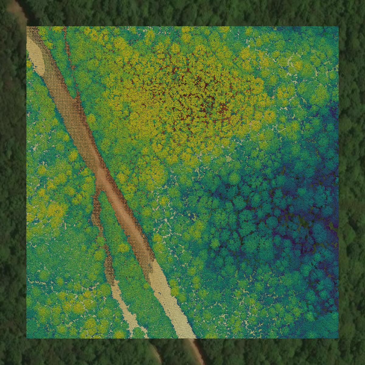 This image shows a LiDAR point cloud in Stokes County created using GIS data in Equator.