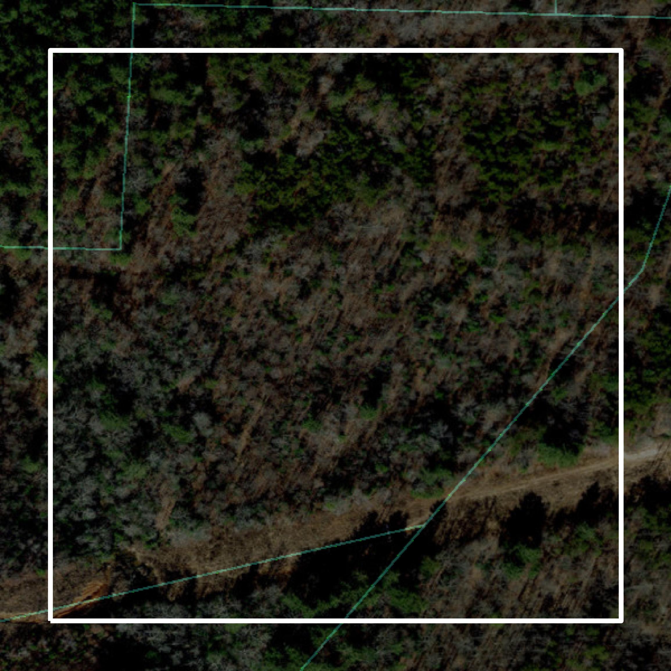 This image shows parcel and building data in Surry County created using GIS data in Equator.
