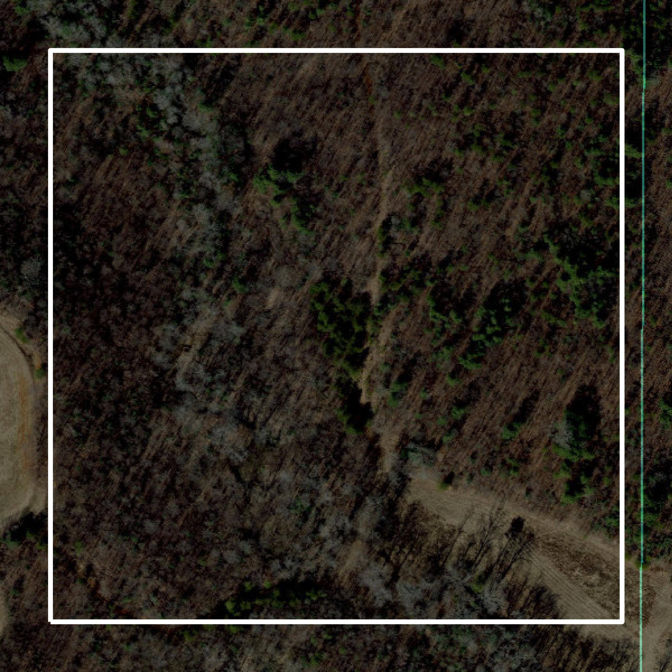 This image shows parcel and building data in Surry County created using GIS data in Equator.