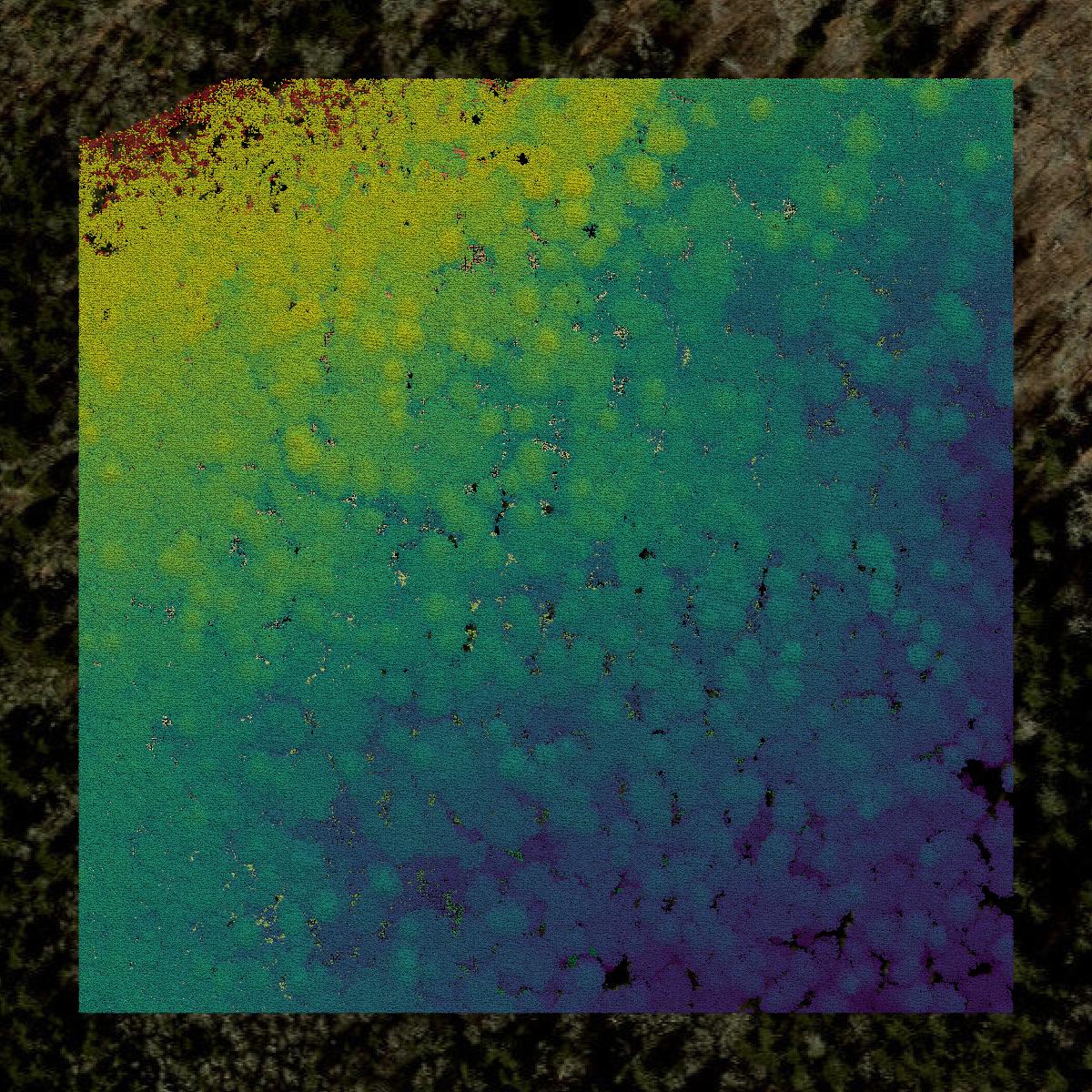 This image shows a LiDAR point cloud in Swain County created using GIS data in Equator.