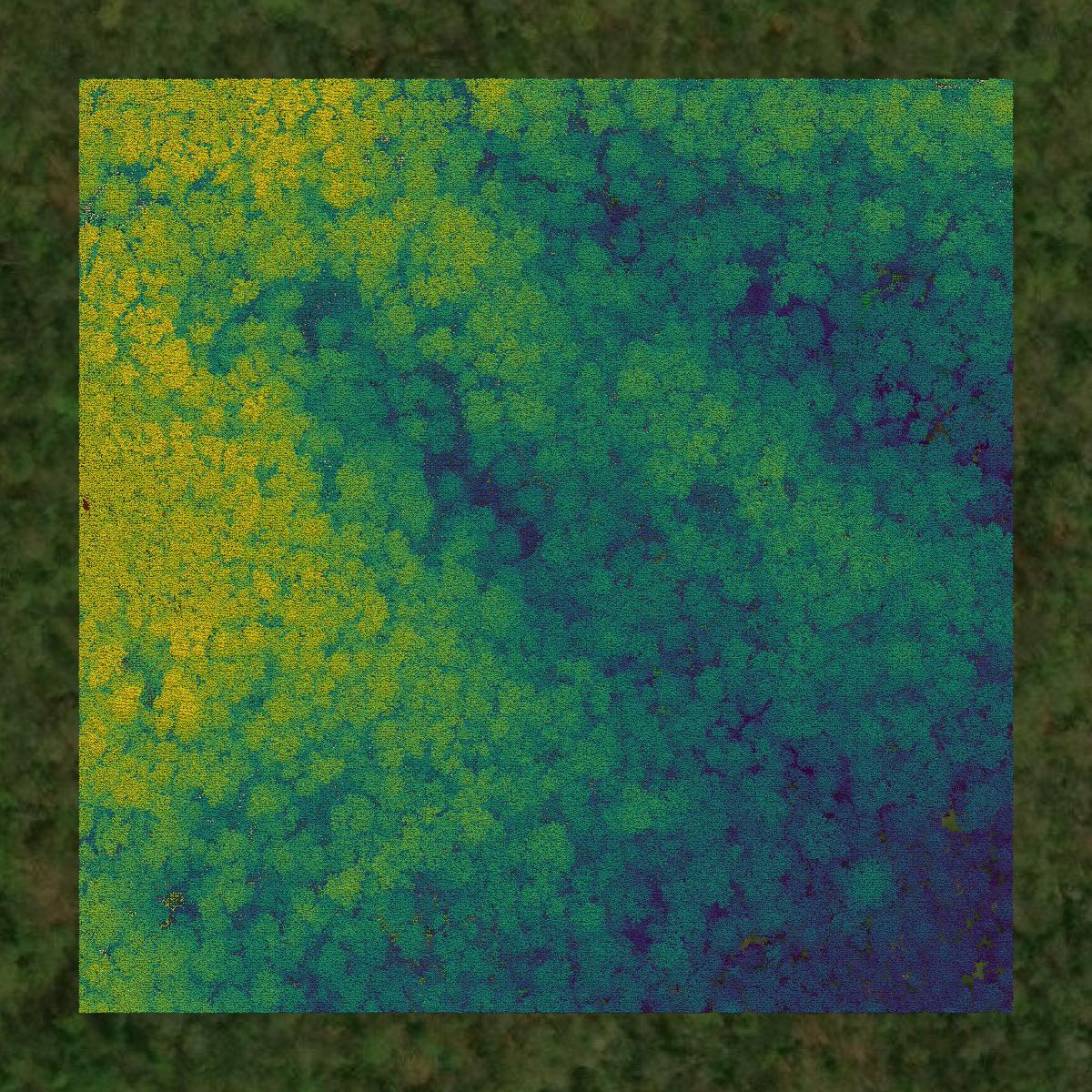 This image shows a LiDAR point cloud in Transylvania County created using GIS data in Equator.