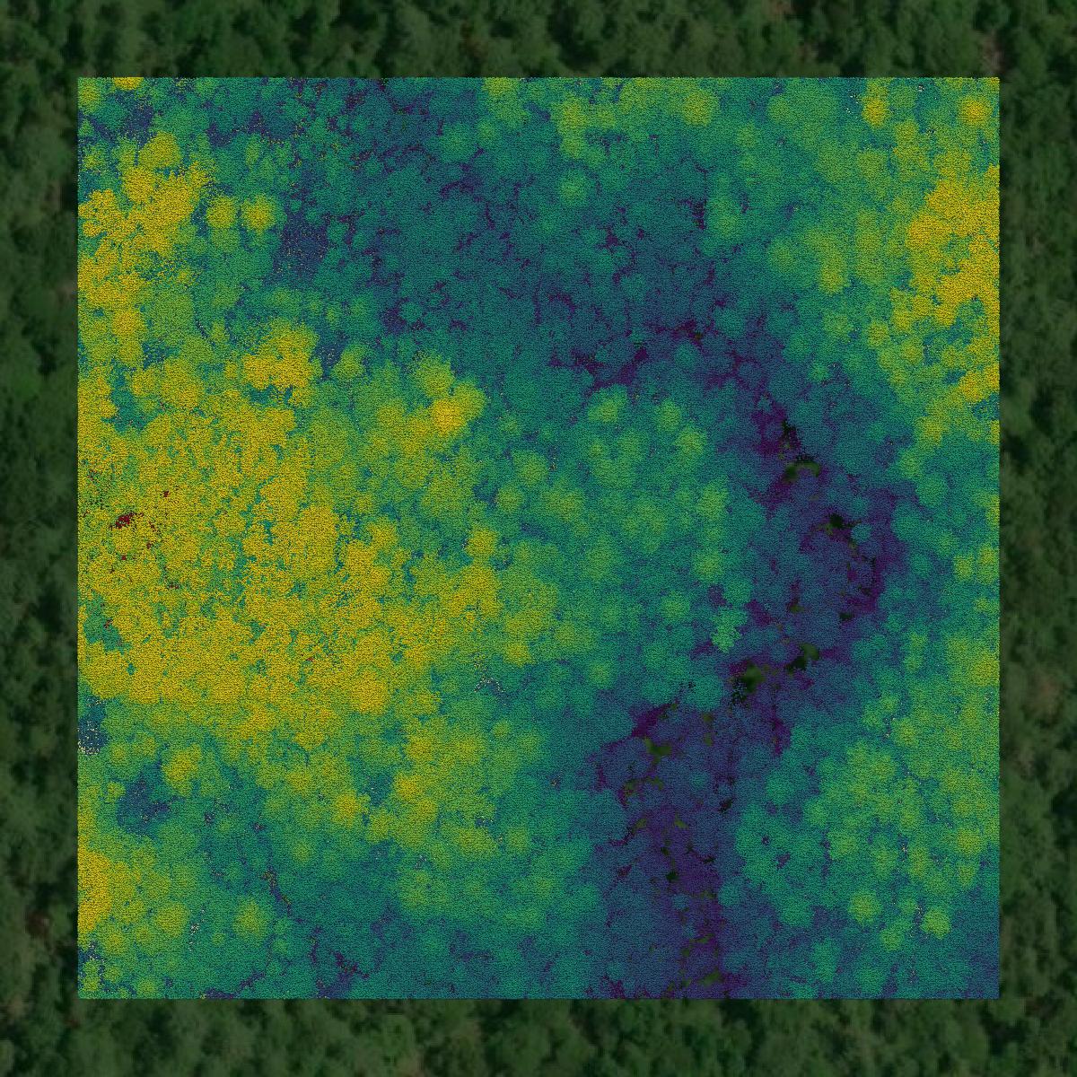 This image shows a LiDAR point cloud in Transylvania County created using GIS data in Equator.