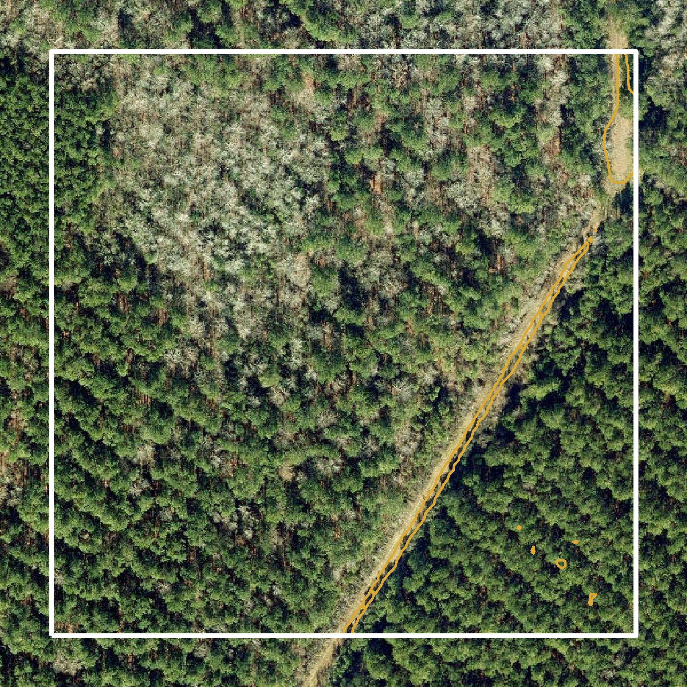 This image shows a contour map in Tyrrell County created using GIS data in Equator.
