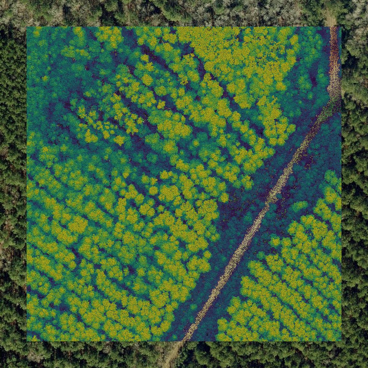This image shows a LiDAR point cloud in Tyrrell County created using GIS data in Equator.