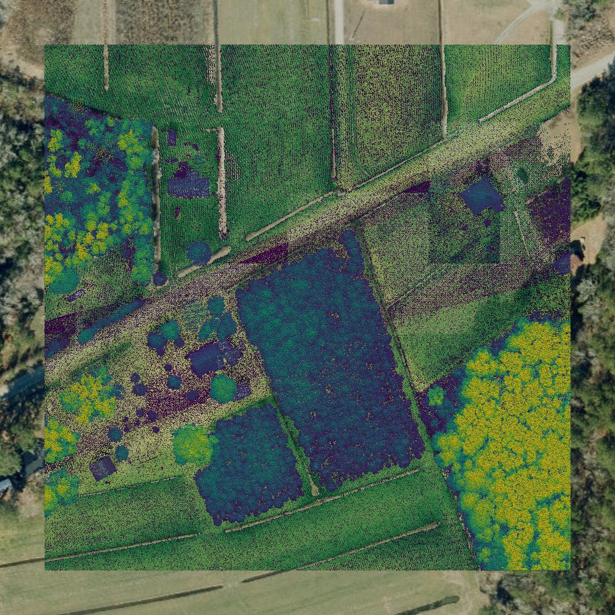 This image shows a LiDAR point cloud in Tyrrell County created using GIS data in Equator.