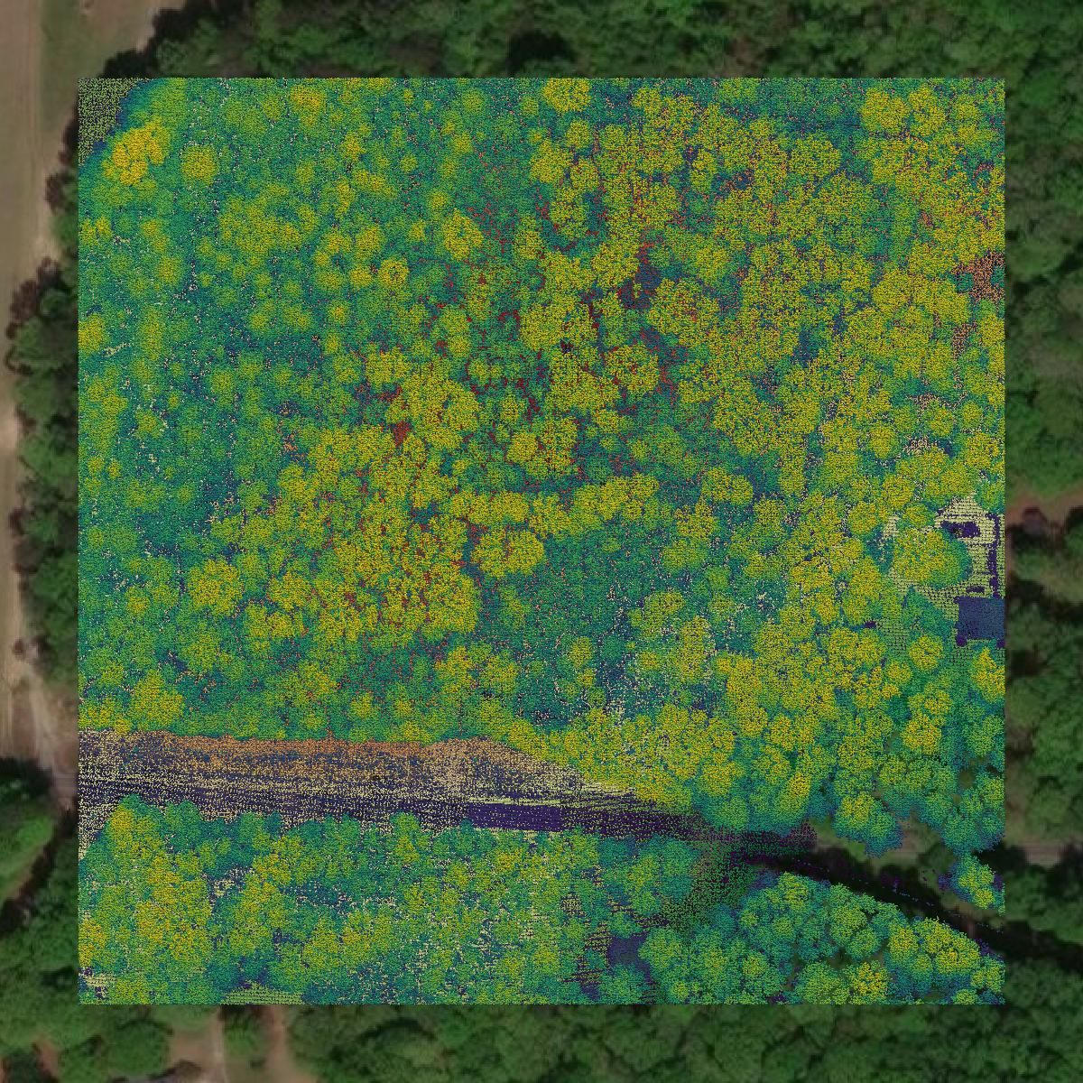 This image shows a LiDAR point cloud in Union County created using GIS data in Equator.
