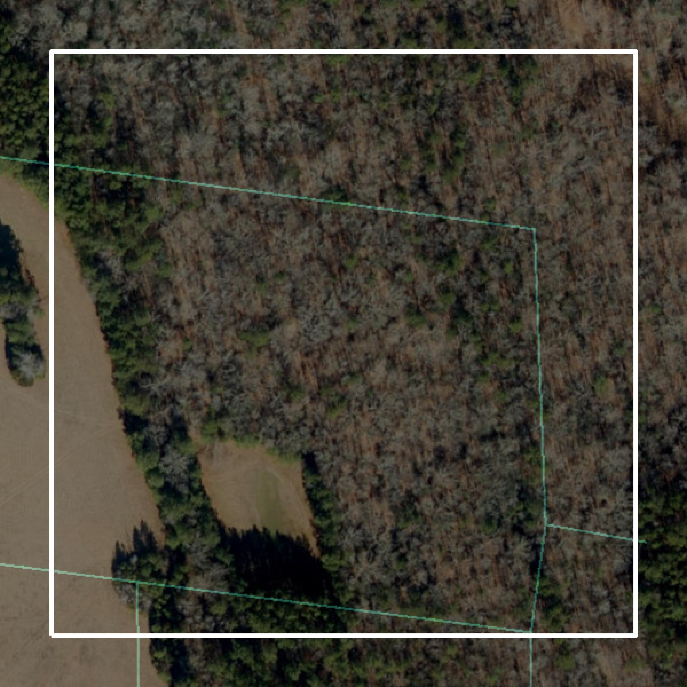 This image shows parcel and building data in Vance County created using GIS data in Equator.
