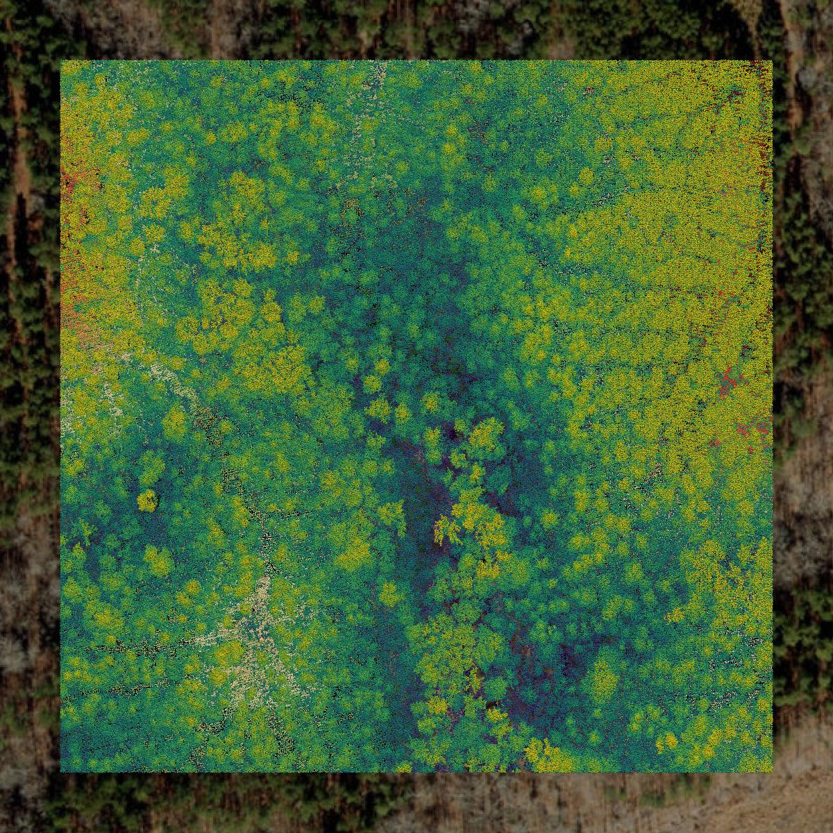 This image shows a LiDAR point cloud in Vance County created using GIS data in Equator.