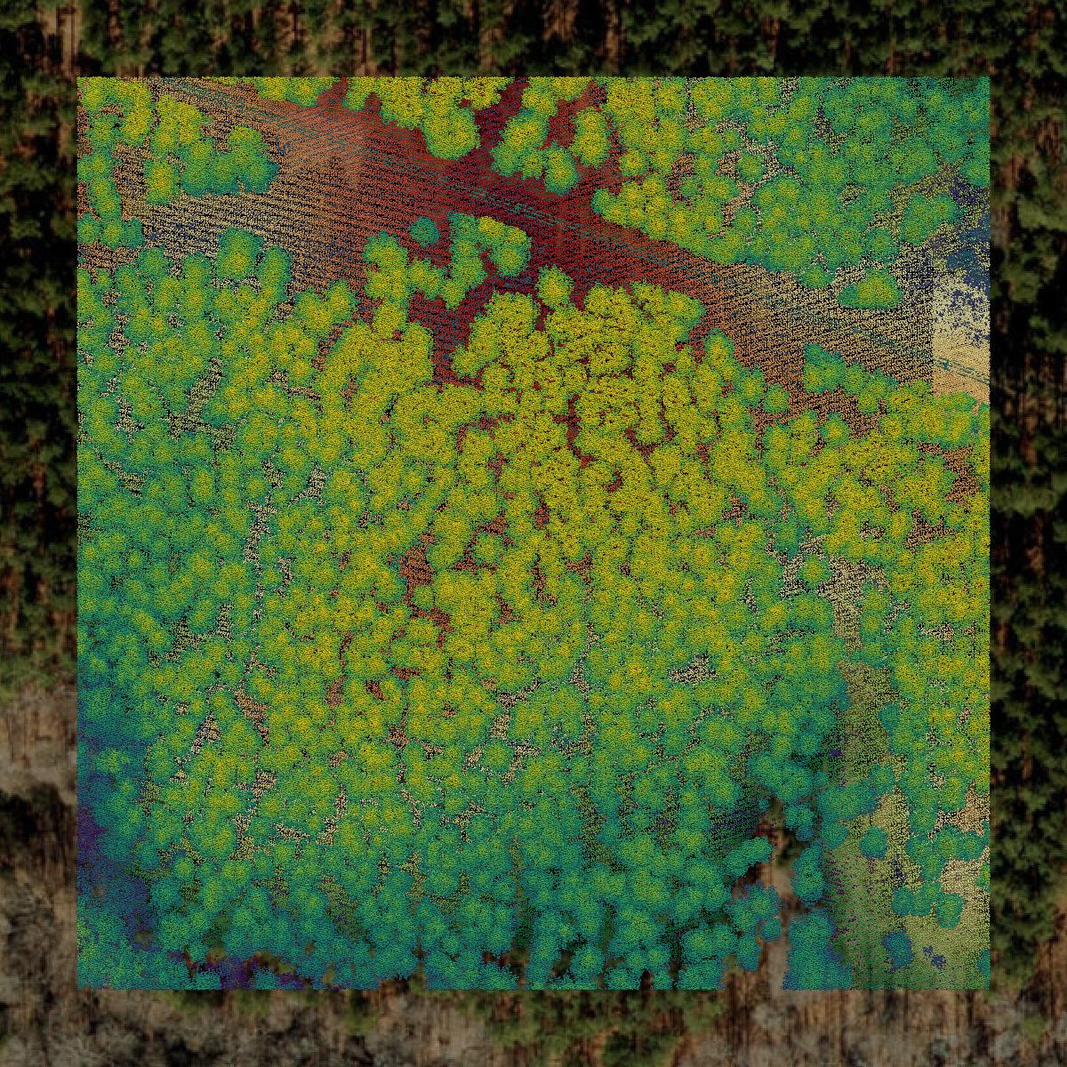 This image shows a LiDAR point cloud in Vance County created using GIS data in Equator.