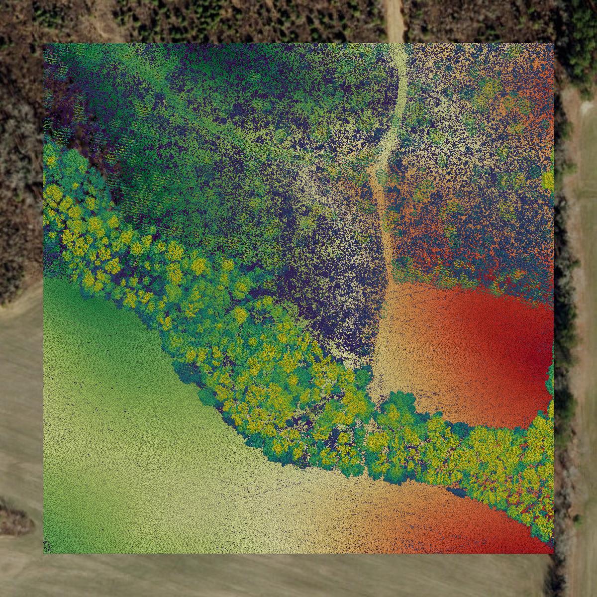 This image shows a LiDAR point cloud in Wake County created using GIS data in Equator.