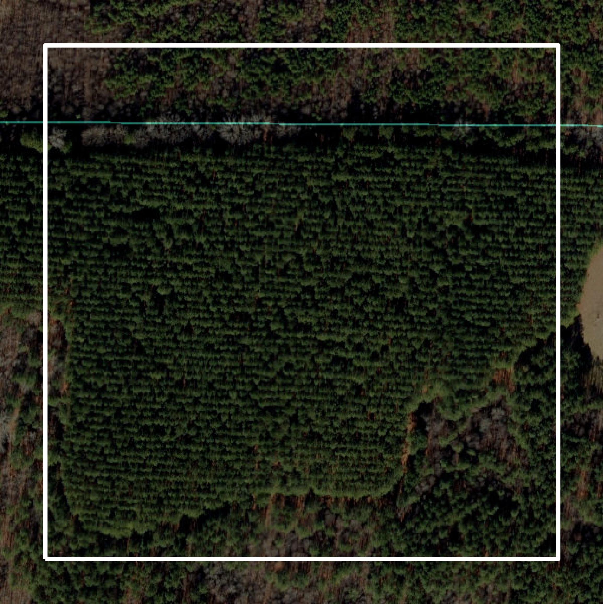 This image shows parcel and building data in Warren County created using GIS data in Equator.