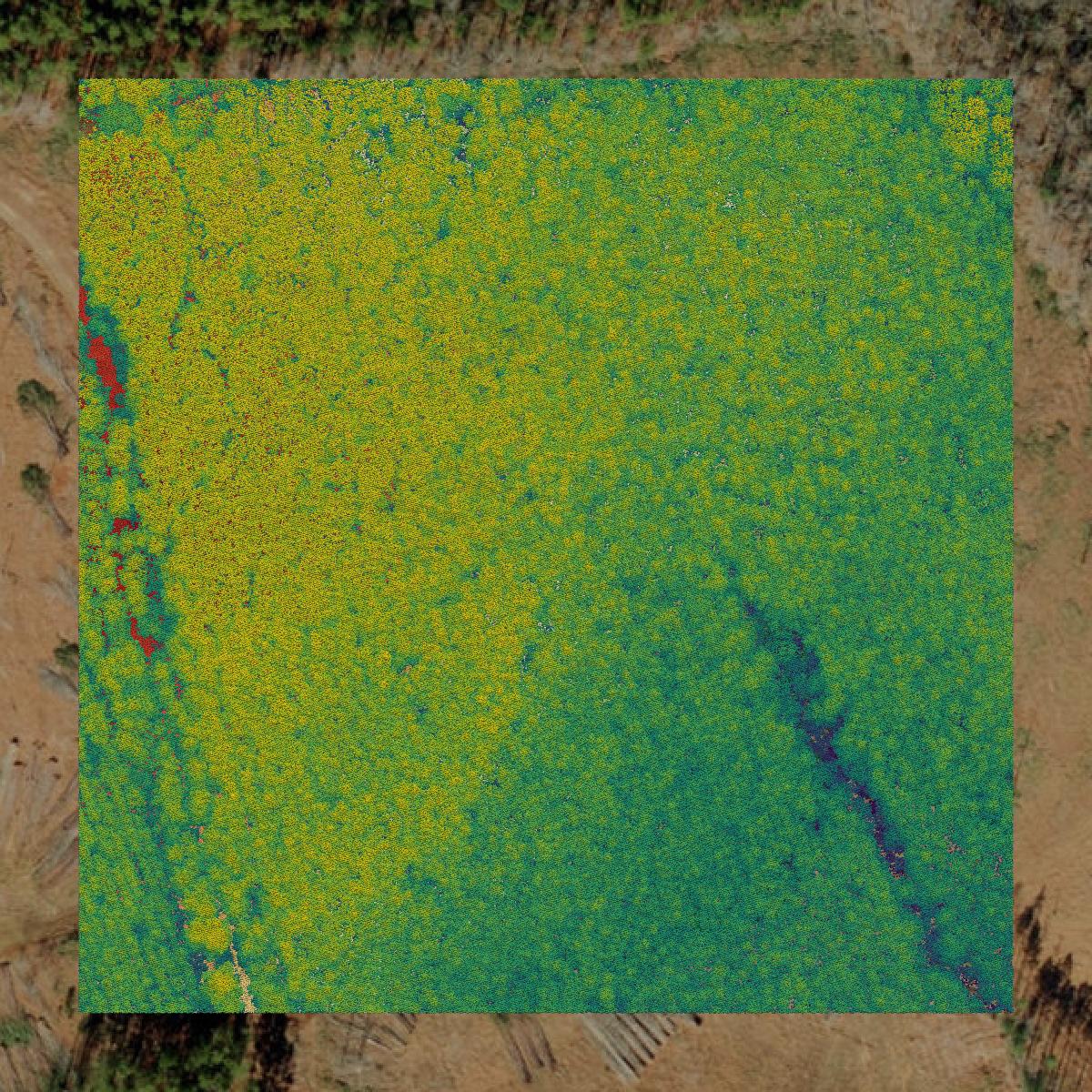This image shows a LiDAR point cloud in Warren County created using GIS data in Equator.