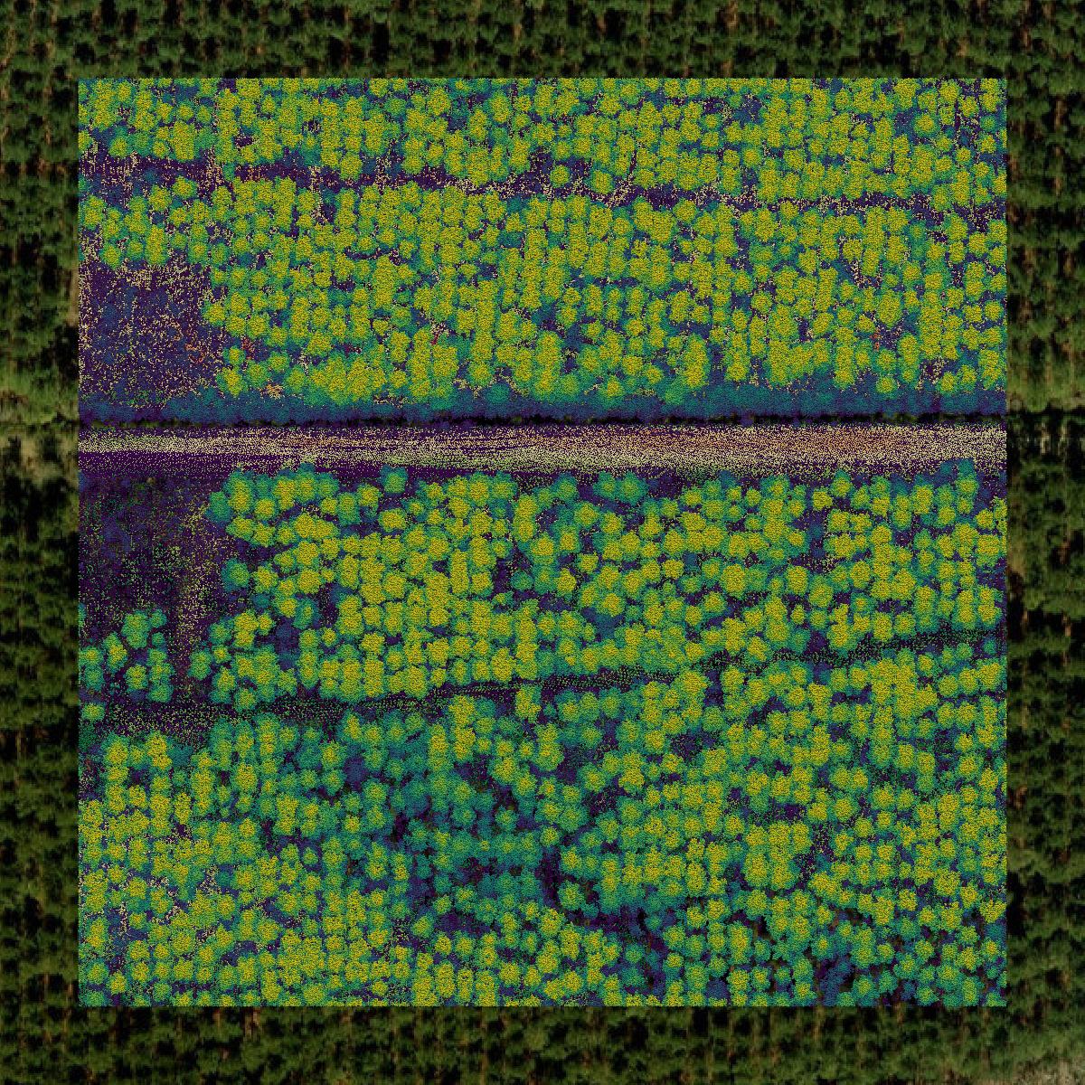 This image shows a LiDAR point cloud in Washington County created using GIS data in Equator.