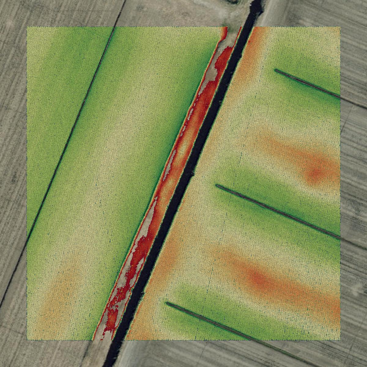 This image shows a LiDAR point cloud in Washington County created using GIS data in Equator.
