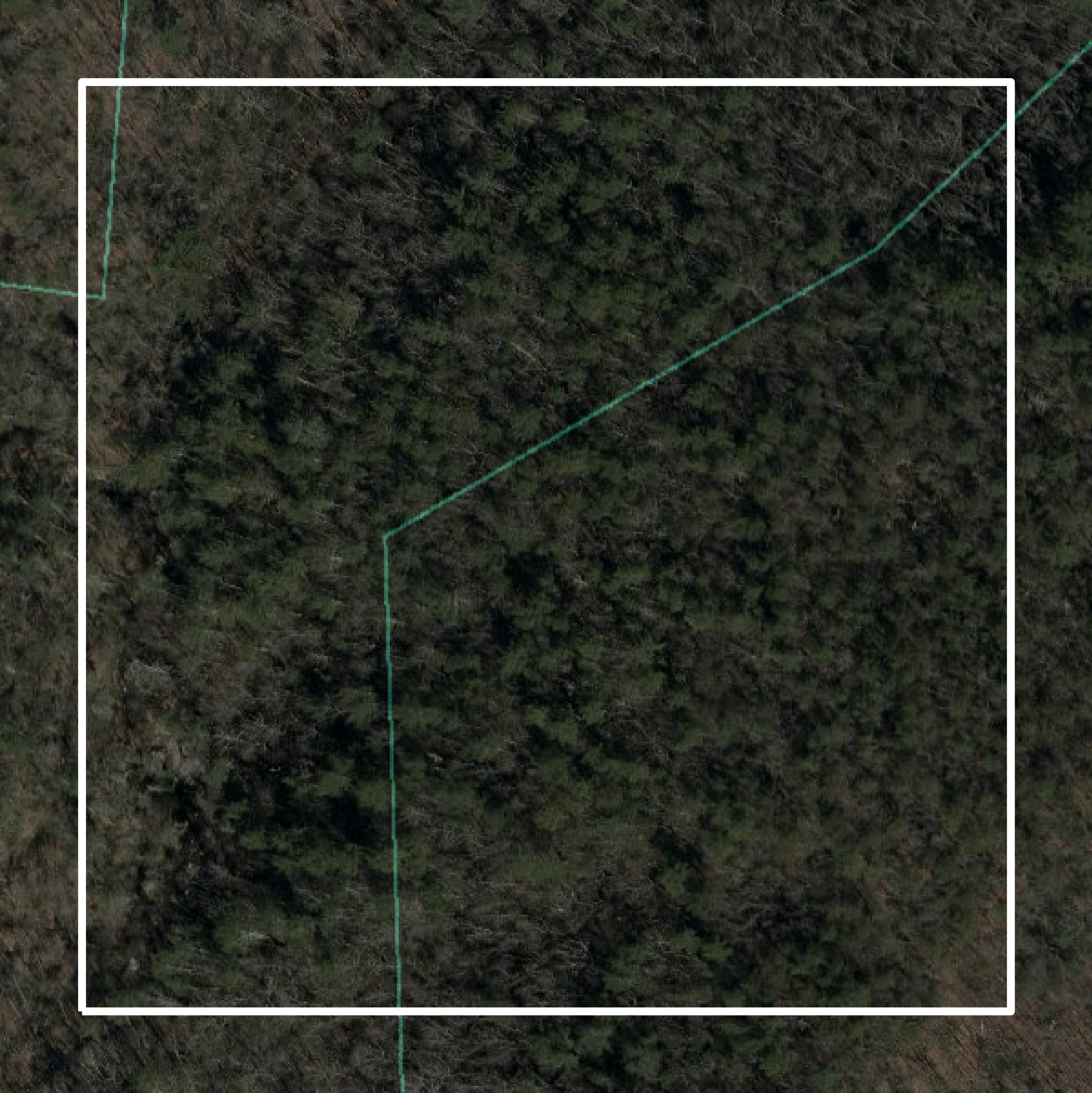 This image shows parcel and building data in Watauga County created using GIS data in Equator.