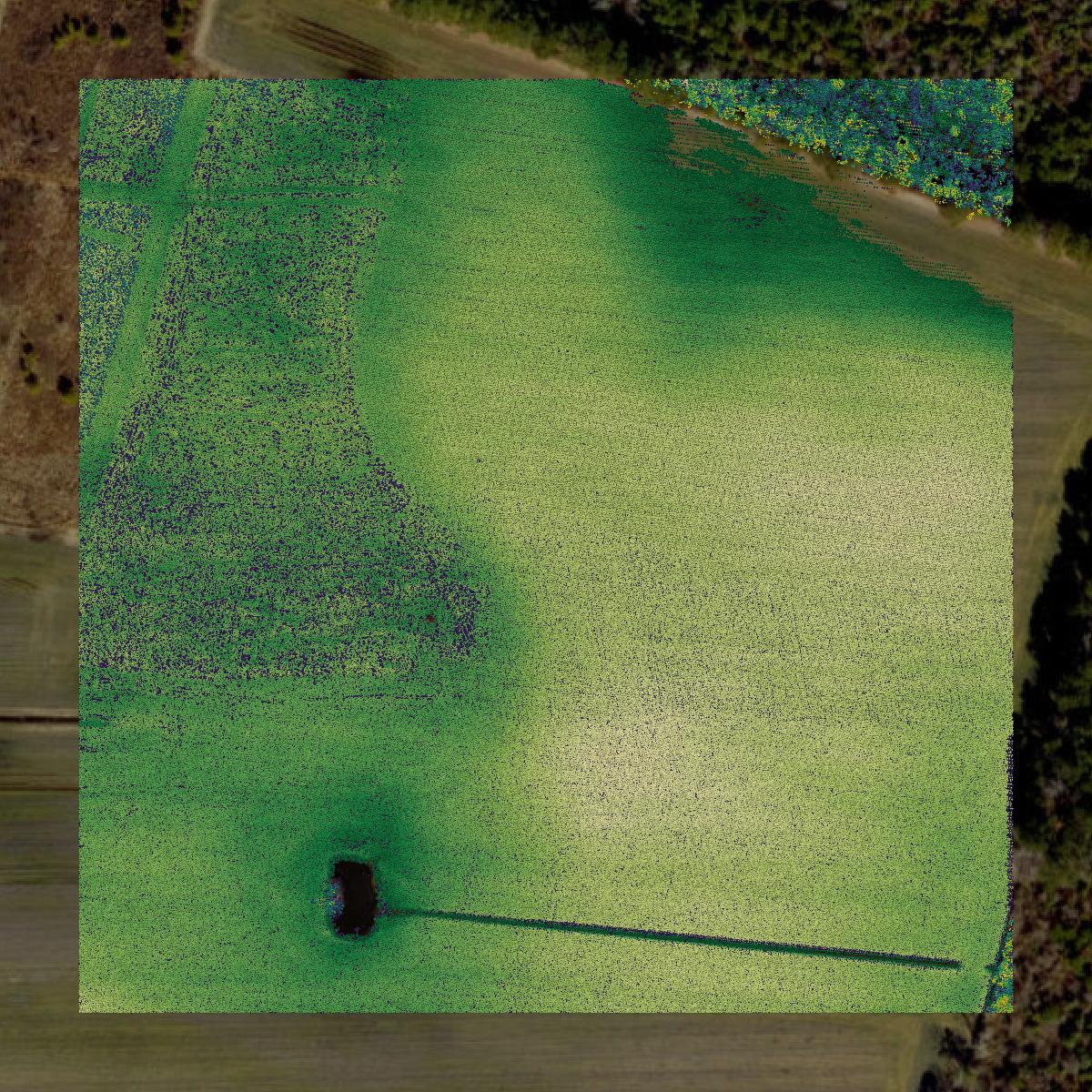 This image shows a LiDAR point cloud in Wayne County created using GIS data in Equator.