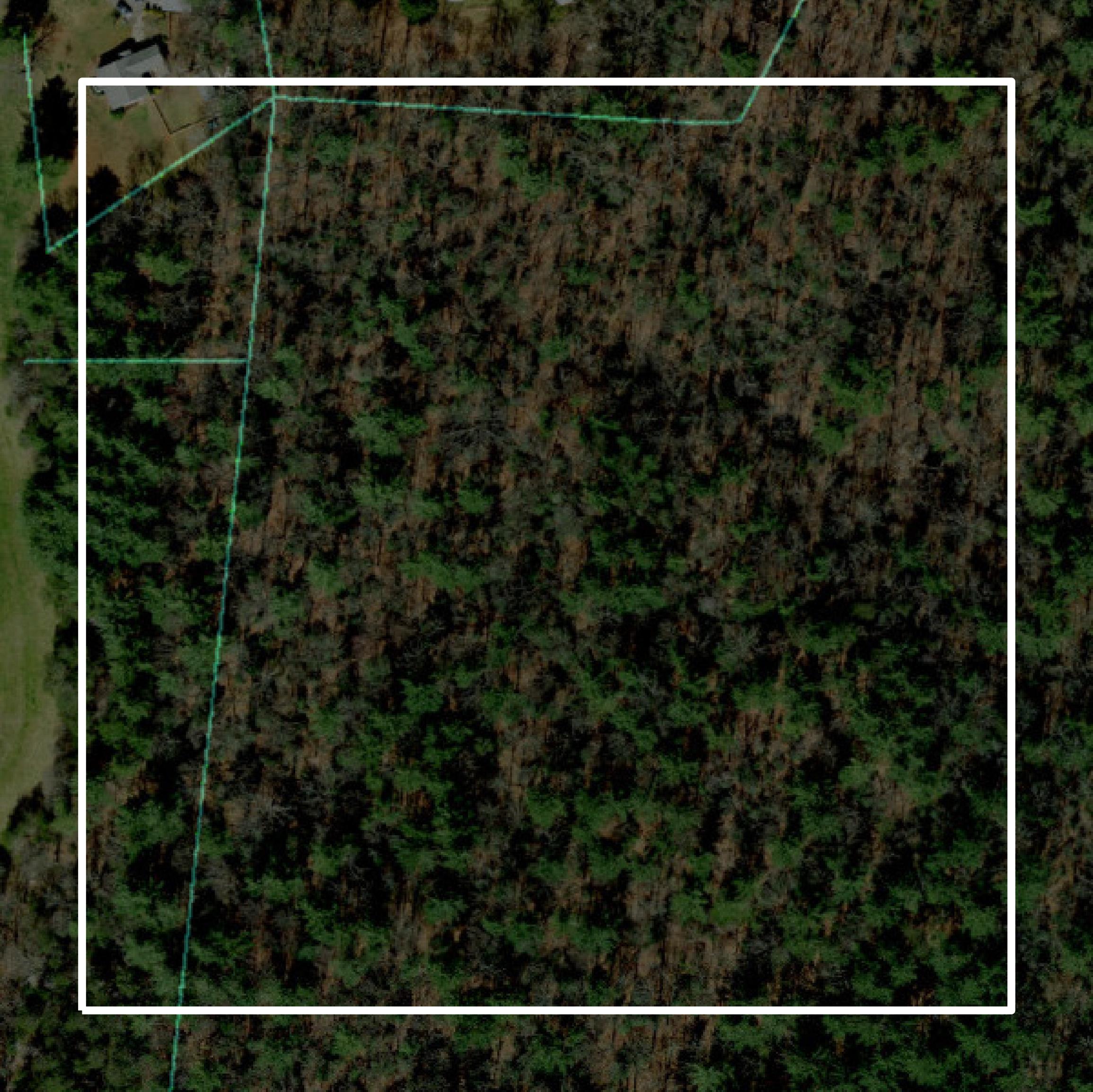This image shows parcel and building data in Wilkes County created using GIS data in Equator.
