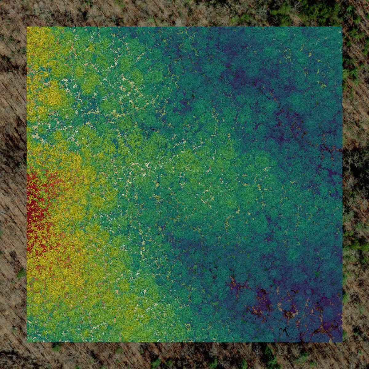 This image shows a LiDAR point cloud in Wilkes County created using GIS data in Equator.
