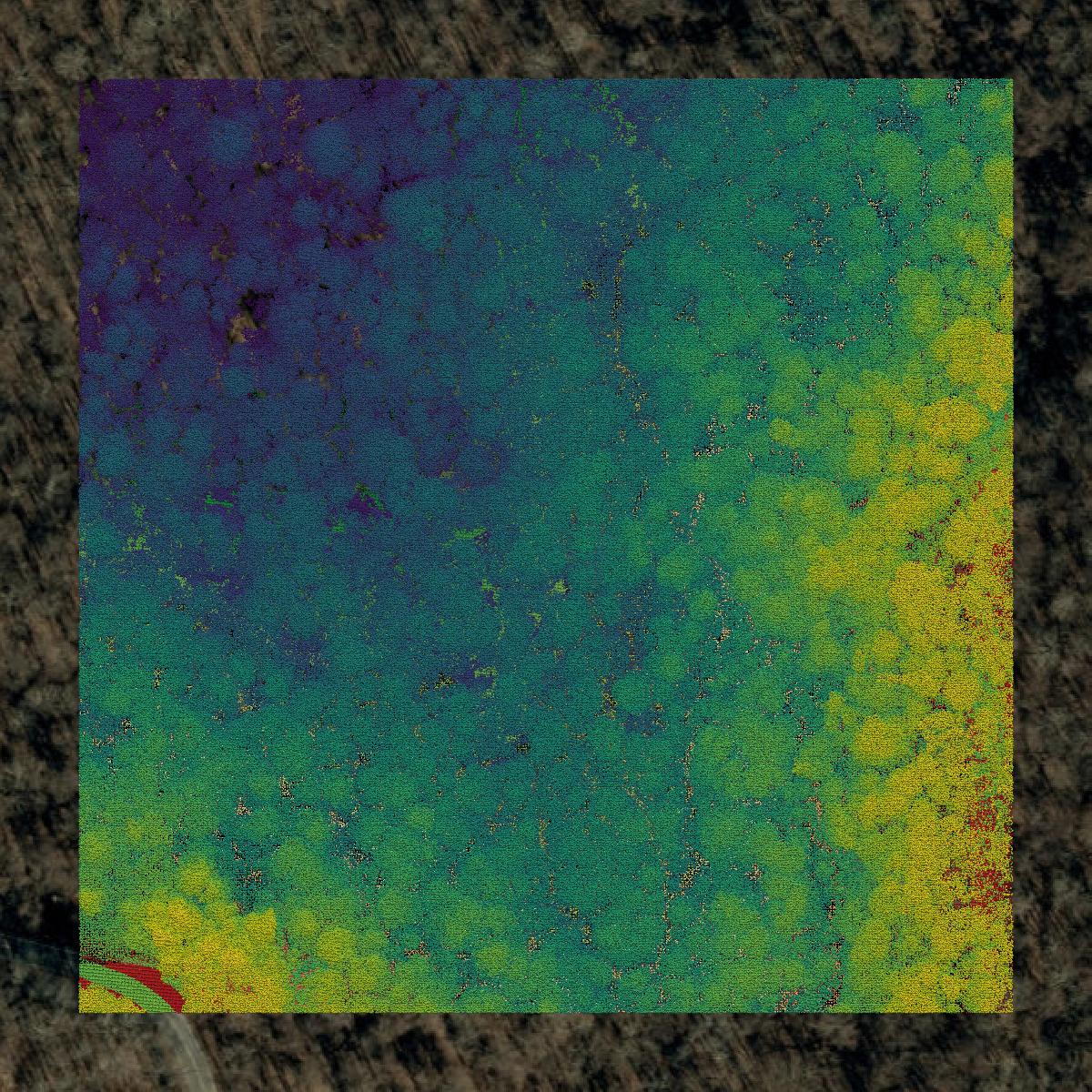 This image shows a LiDAR point cloud in Yancey County created using GIS data in Equator.