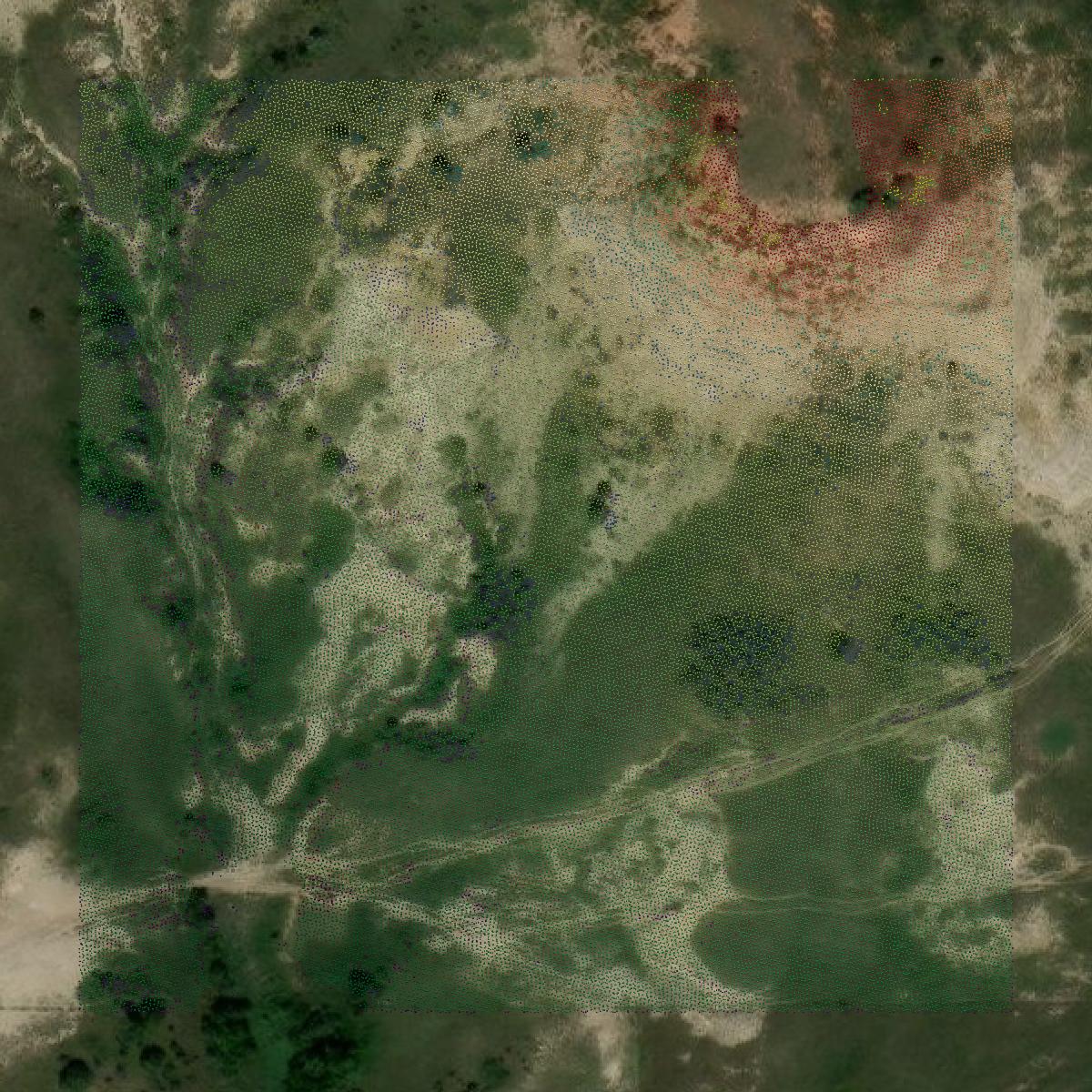 This image shows a LiDAR point cloud in Billings County created using GIS data in Equator.