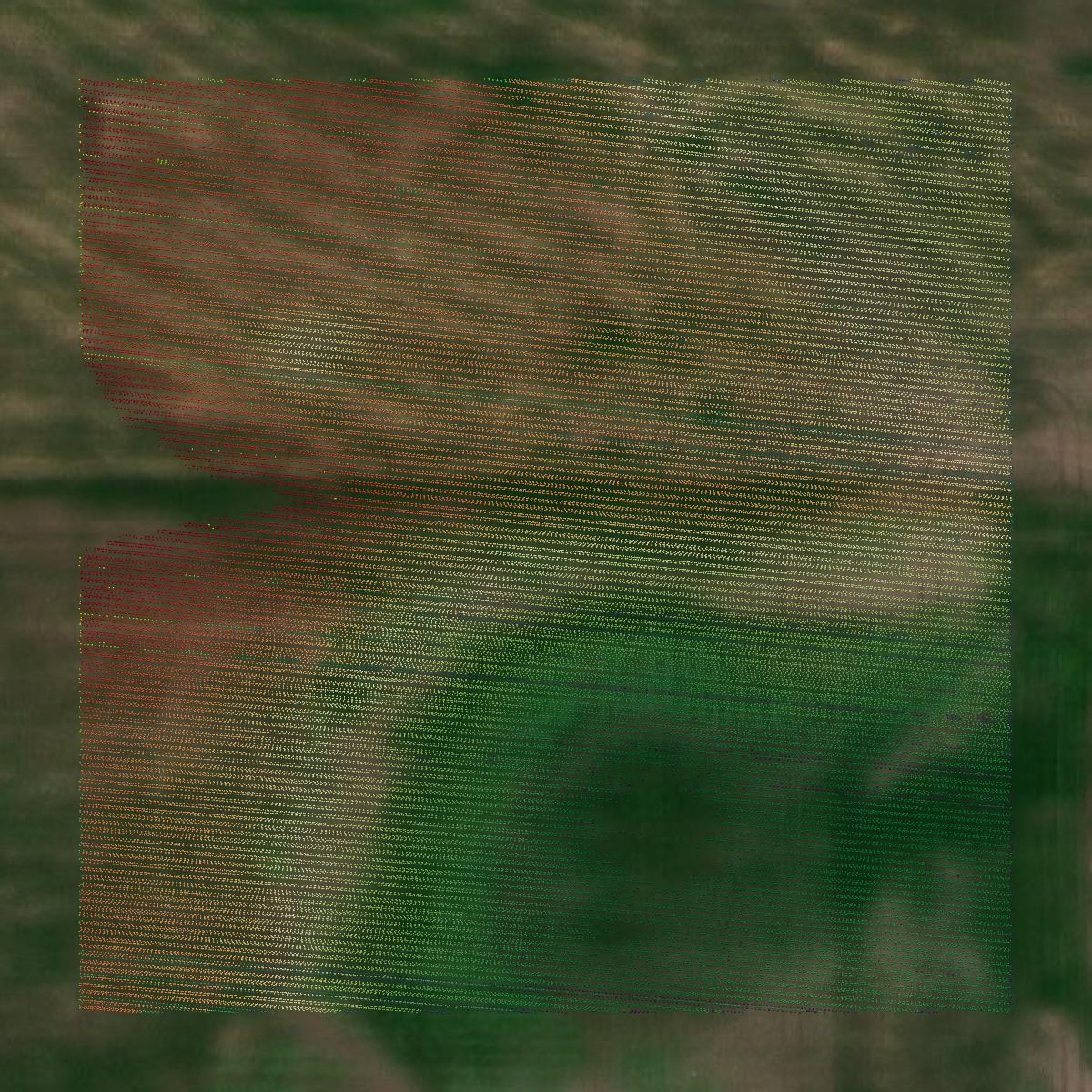 This image shows a LiDAR point cloud in Bottineau County created using GIS data in Equator.
