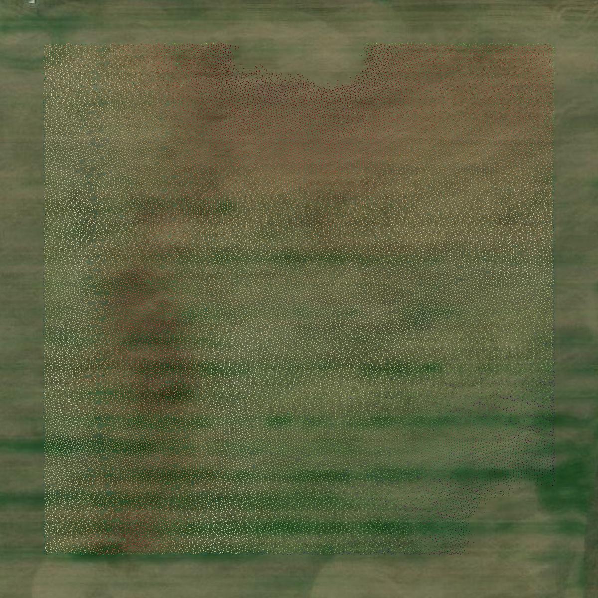 This image shows a LiDAR point cloud in Bottineau County created using GIS data in Equator.