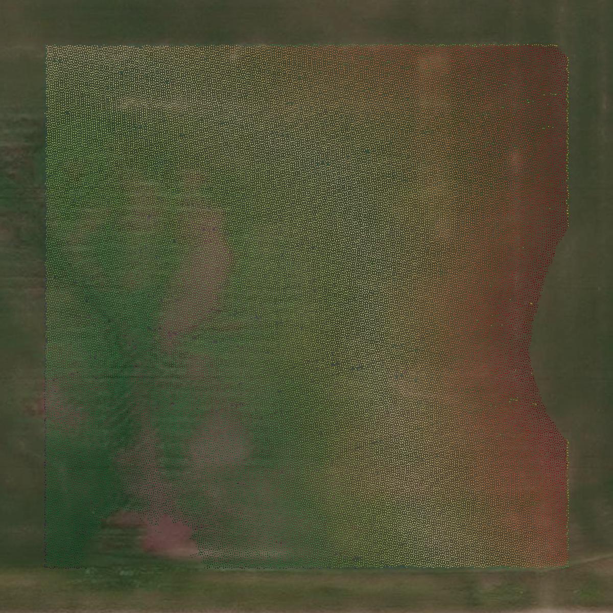 This image shows a LiDAR point cloud in Bowman County created using GIS data in Equator.