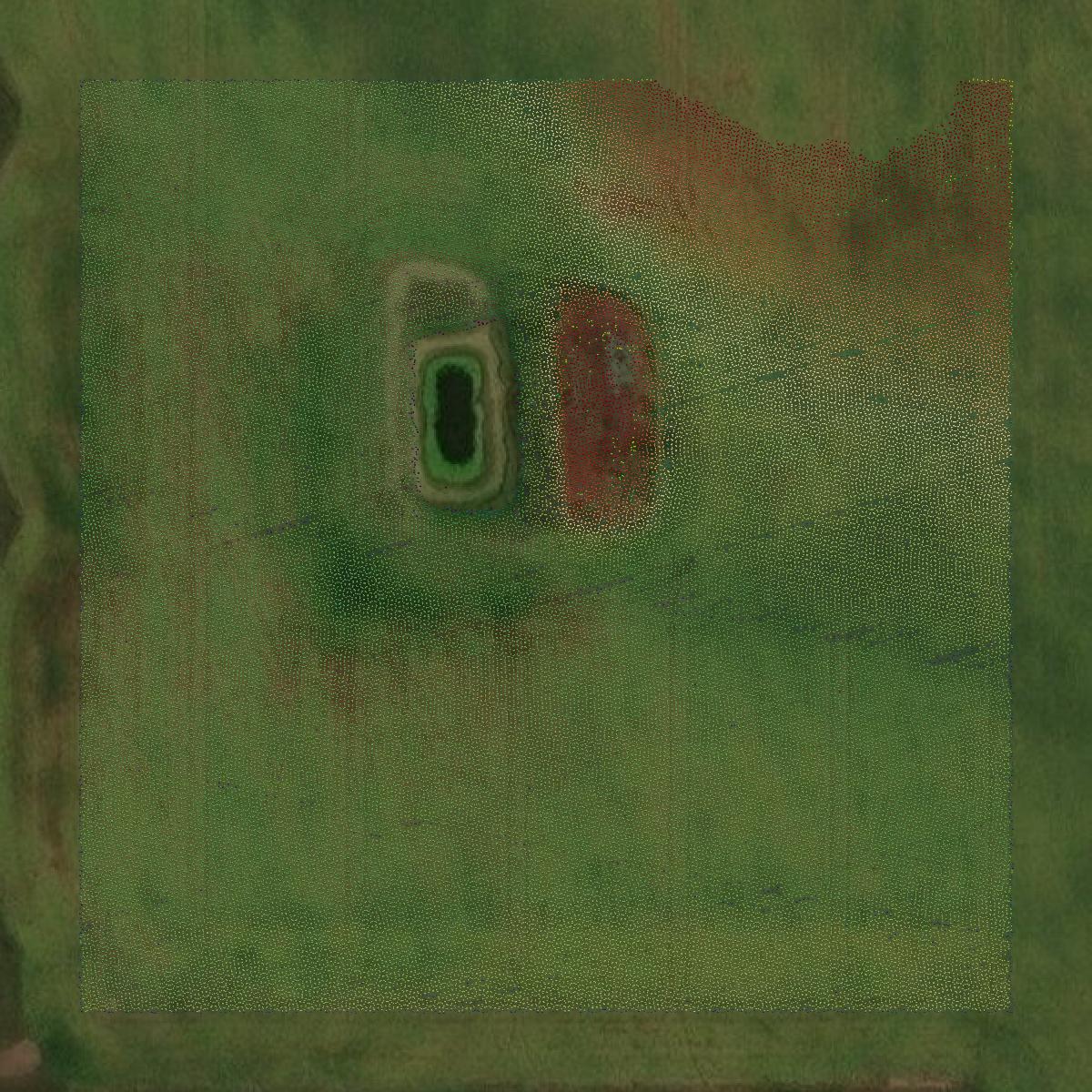 This image shows a LiDAR point cloud in Bowman County created using GIS data in Equator.