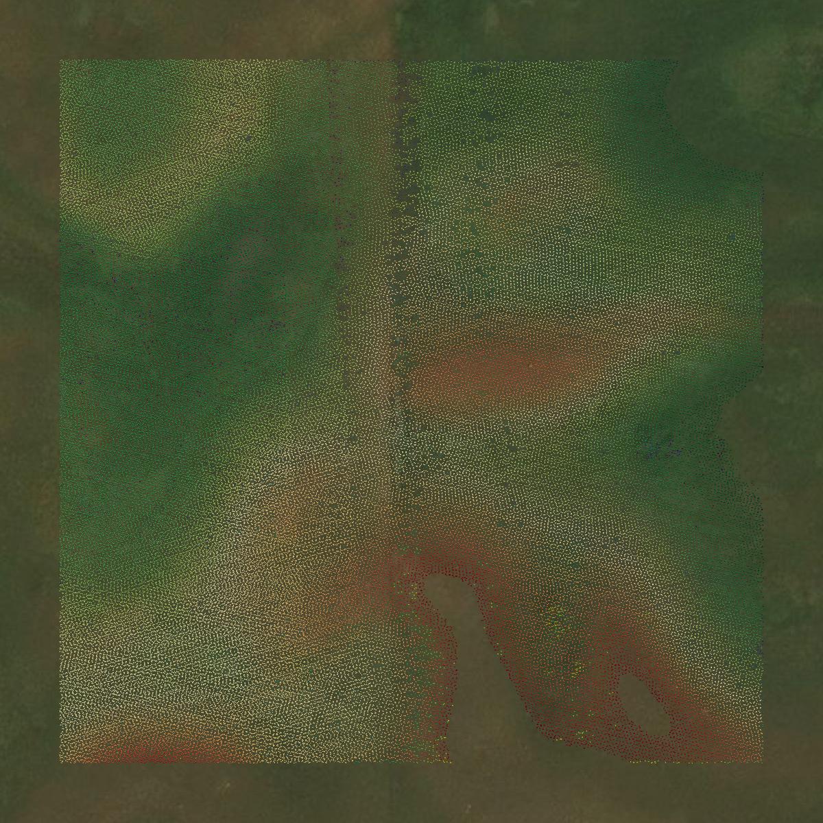This image shows a LiDAR point cloud in Burke County created using GIS data in Equator.