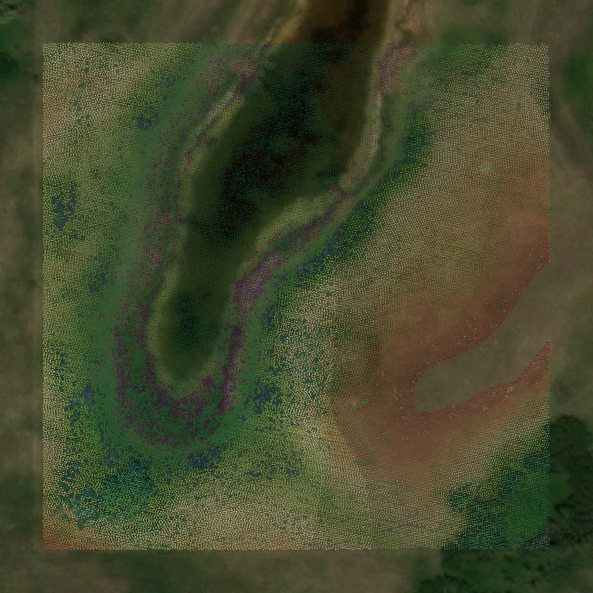 This image shows a LiDAR point cloud in Burke County created using GIS data in Equator.